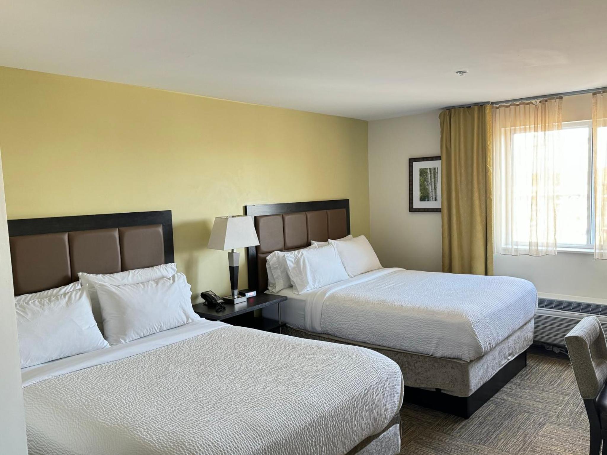 Queen Studio Suite with Two Queen Beds - Communications and Mobility Accessible photo 2