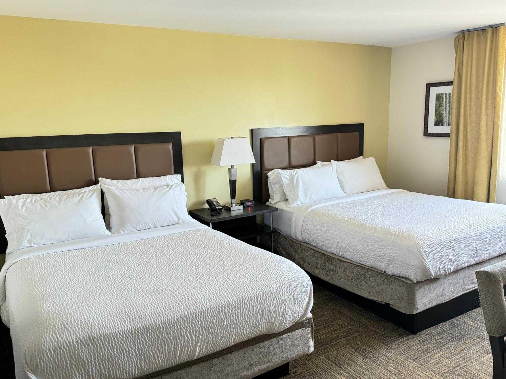 Queen Studio Suite with Two Queen Beds - Communications and Mobility Accessible photo 3