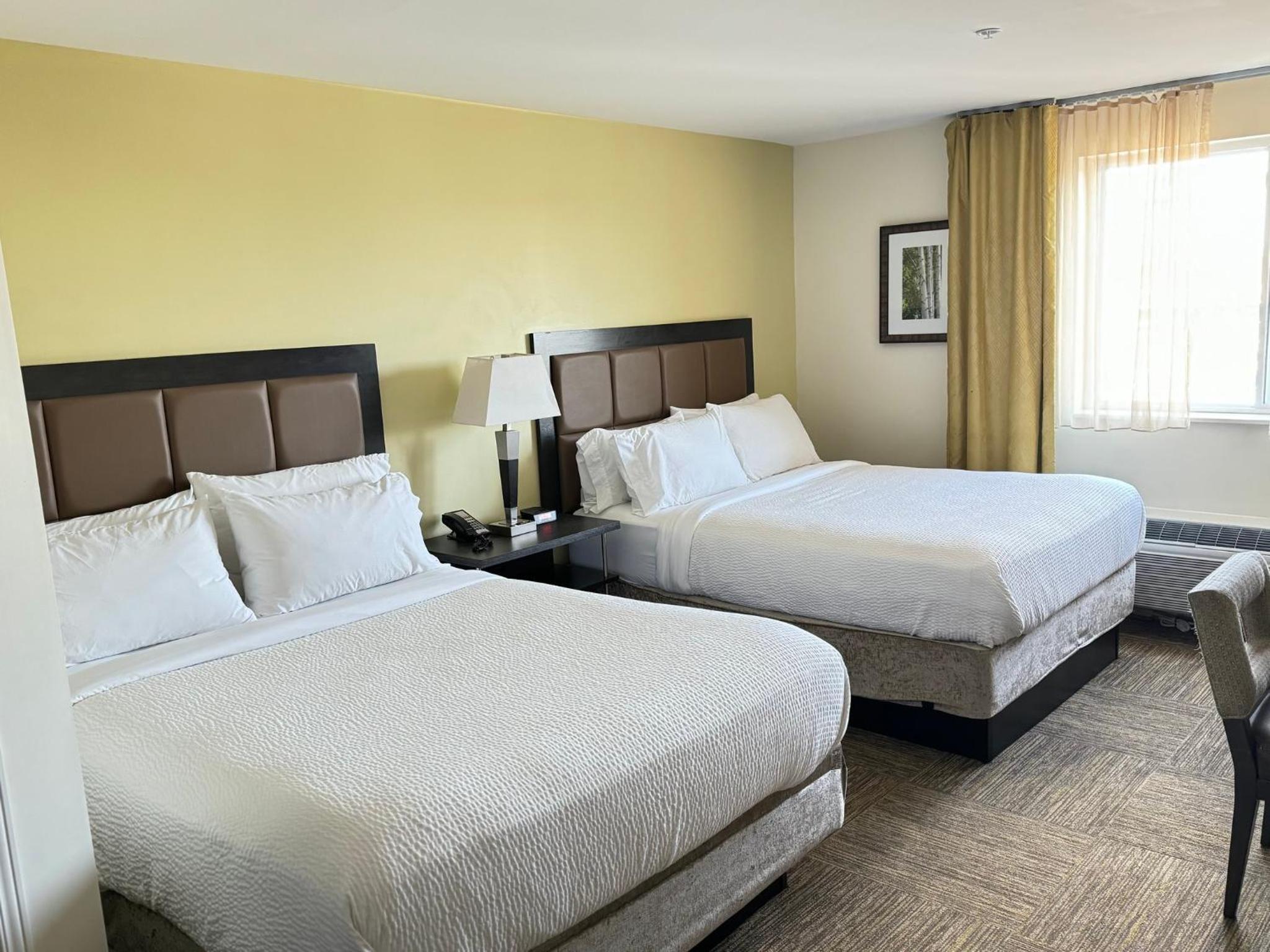 Queen Studio Suite with Two Queen Beds - Communications and Mobility Accessible photo 1