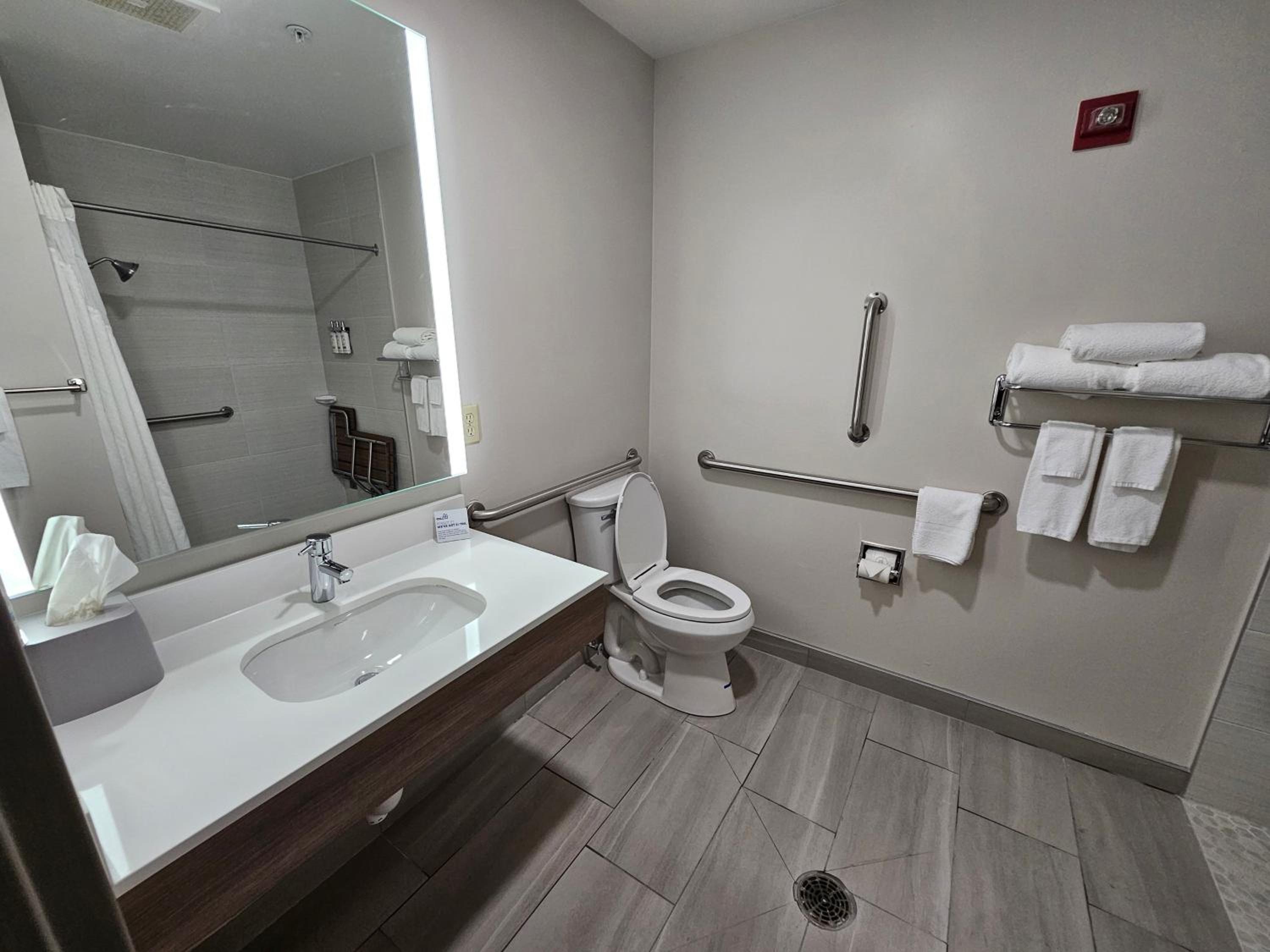 Standard King Room with Mobility Accessible Roll-In Shower - Photo 5