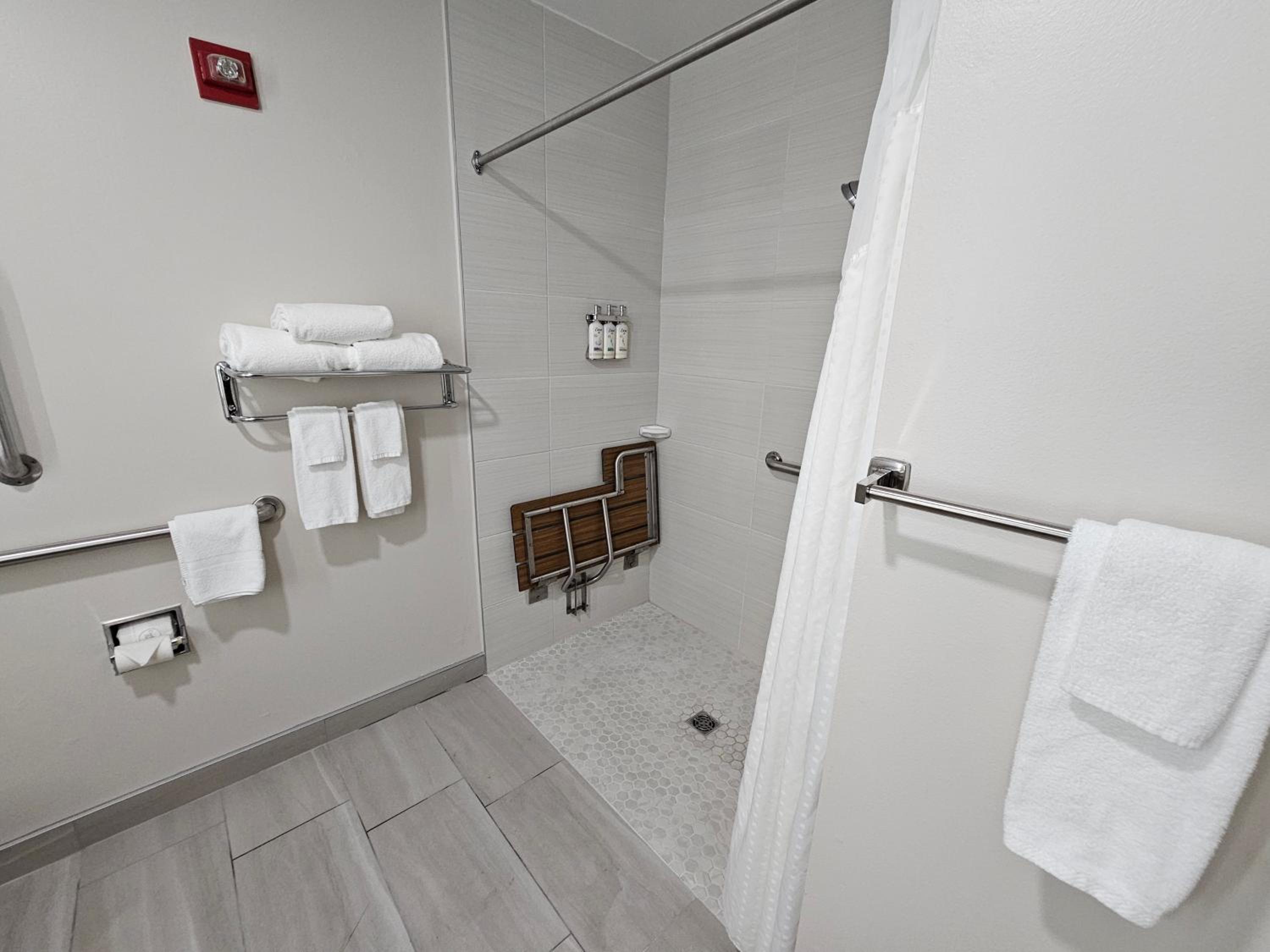 Standard King Room with Mobility Accessible Roll-In Shower - Photo 6