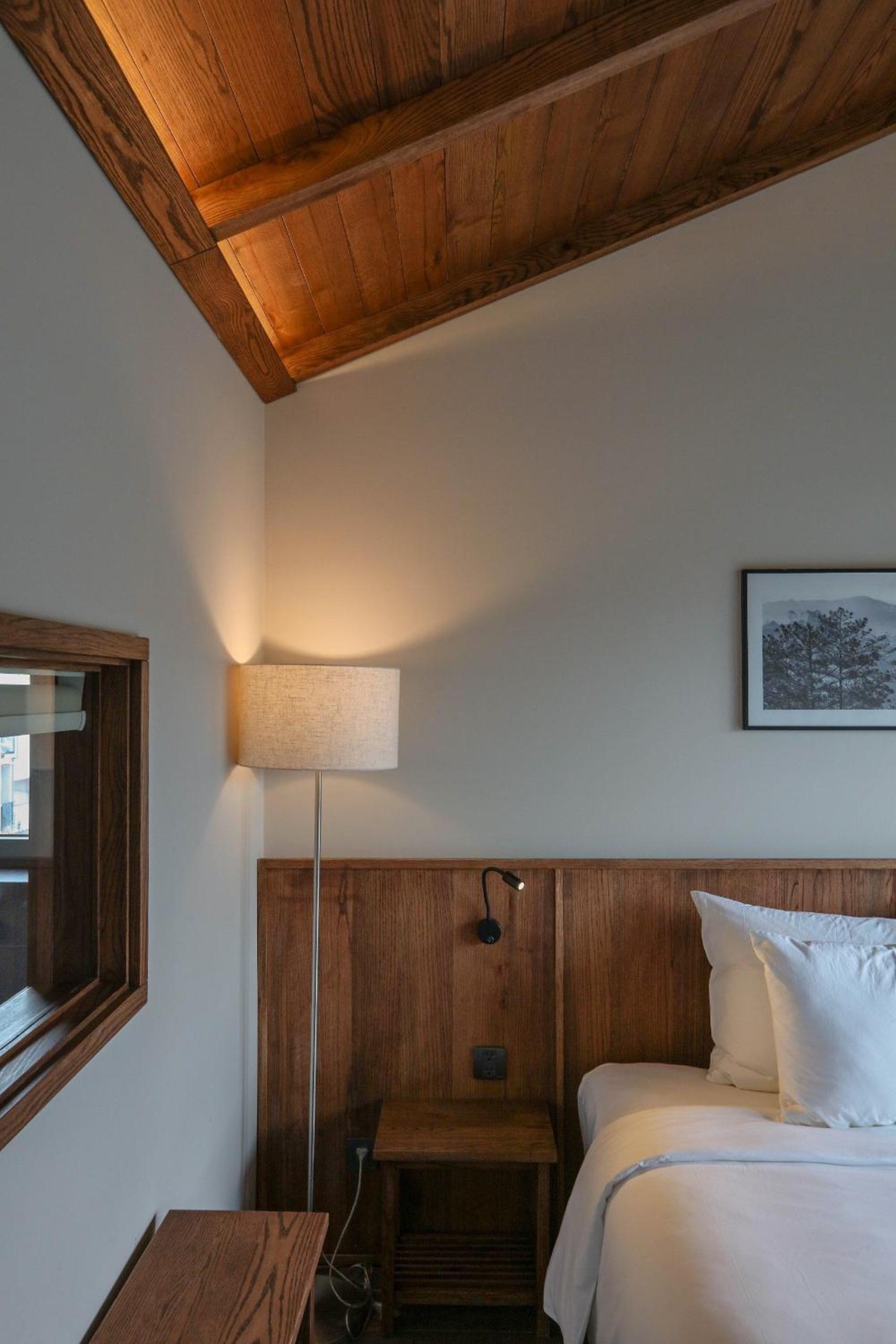 Suite - Photo 26