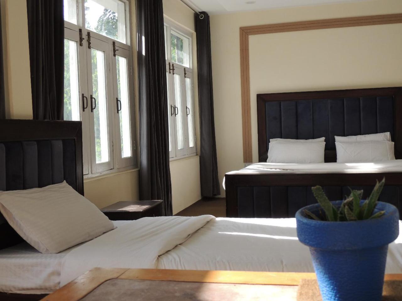 King Room with Mountain View photo 1
