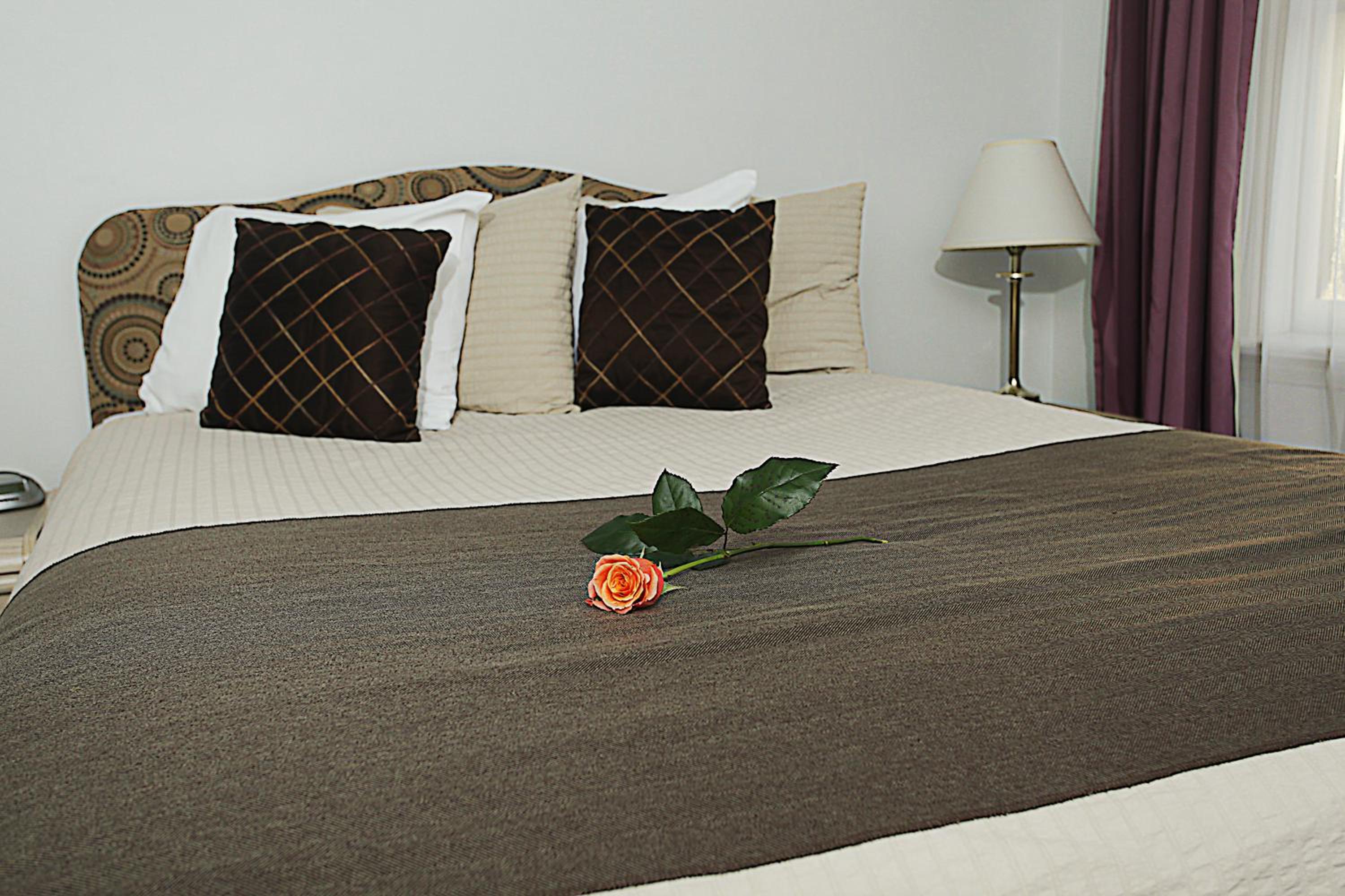 Standard Double Room - Photo 2
