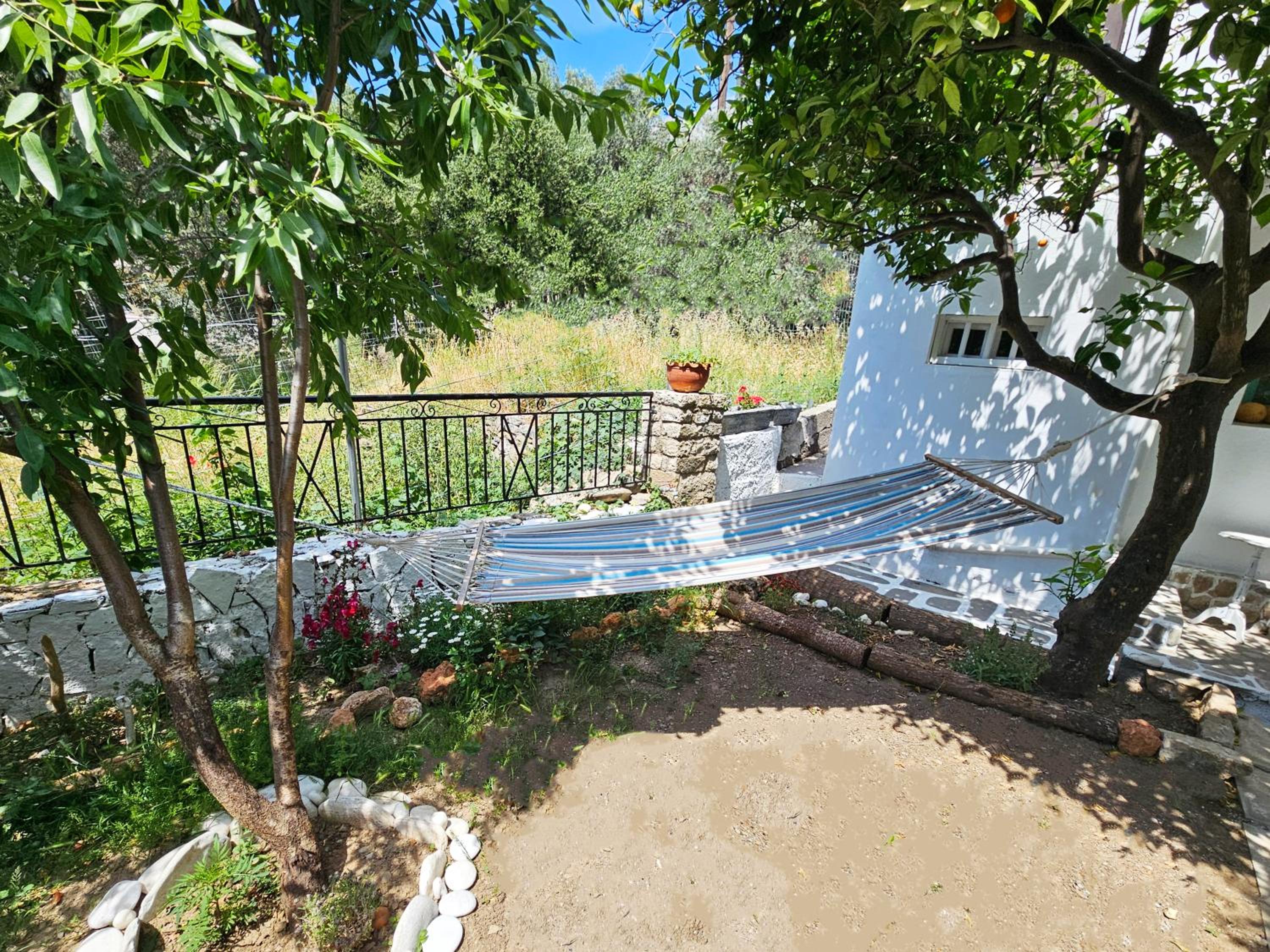 One-Bedroom House photo 3