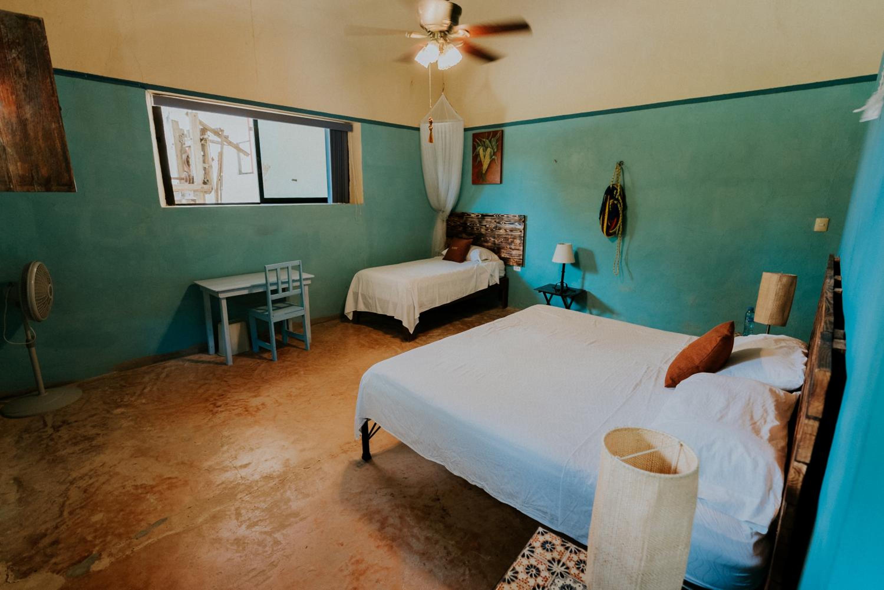 Twin Room photo 1