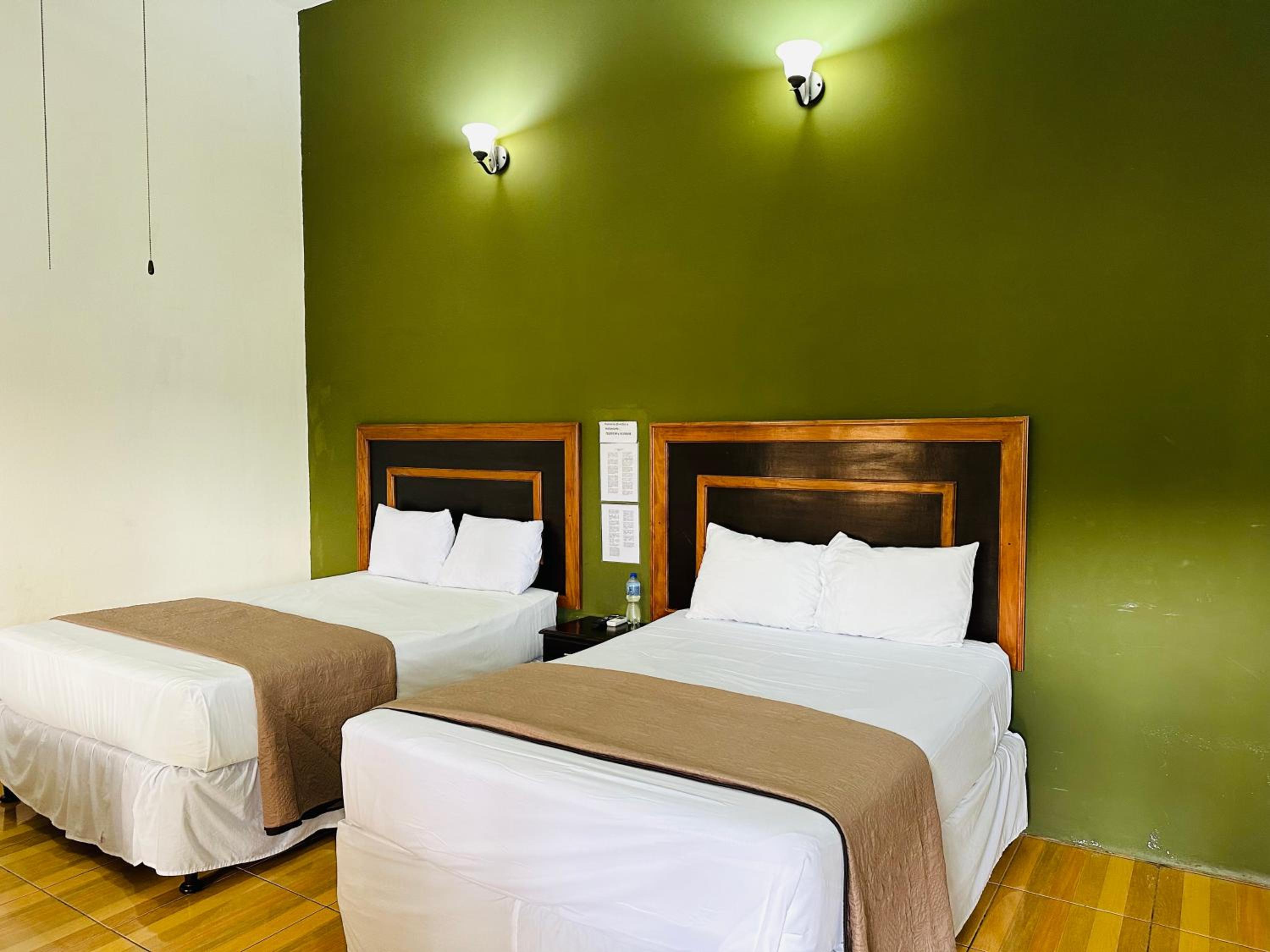 Twin Room photo 1