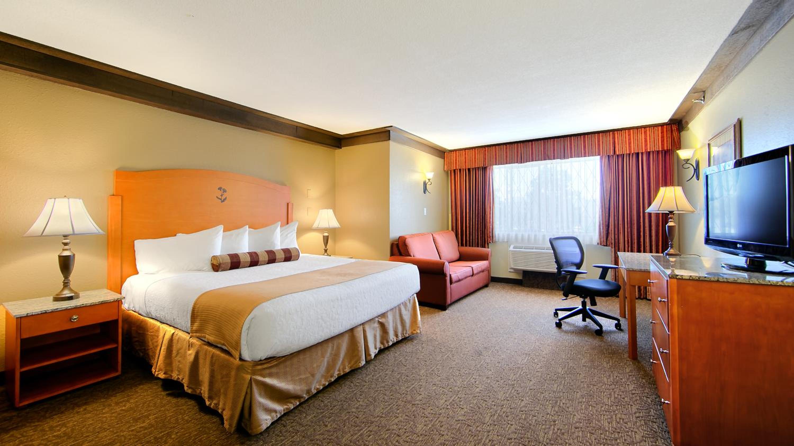 Deluxe King Room - Non-Smoking - Photo 1