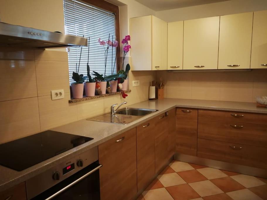 One-Bedroom Deluxe Apartment photo 2
