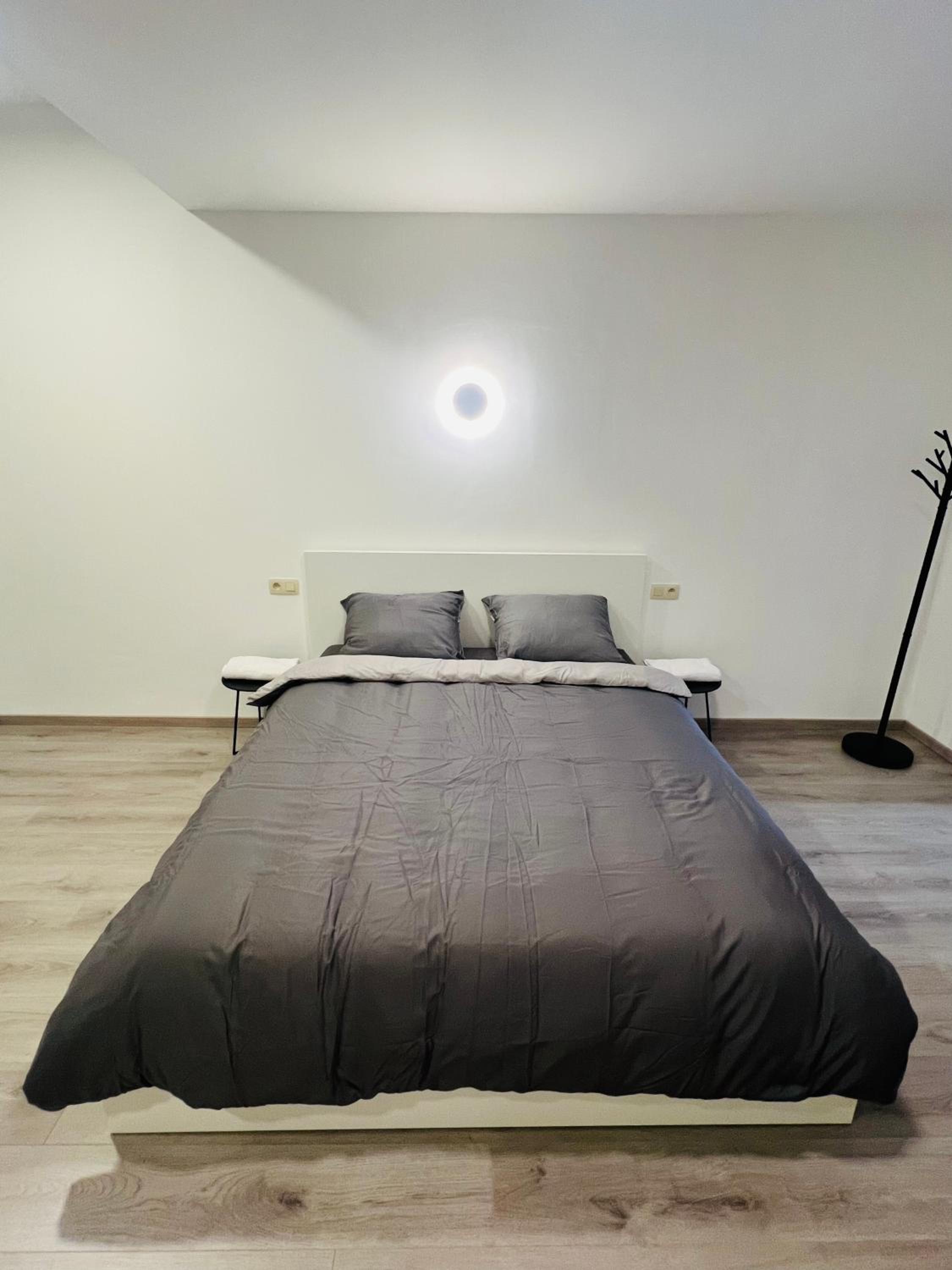 One-Bedroom Standard Apartment photo 3