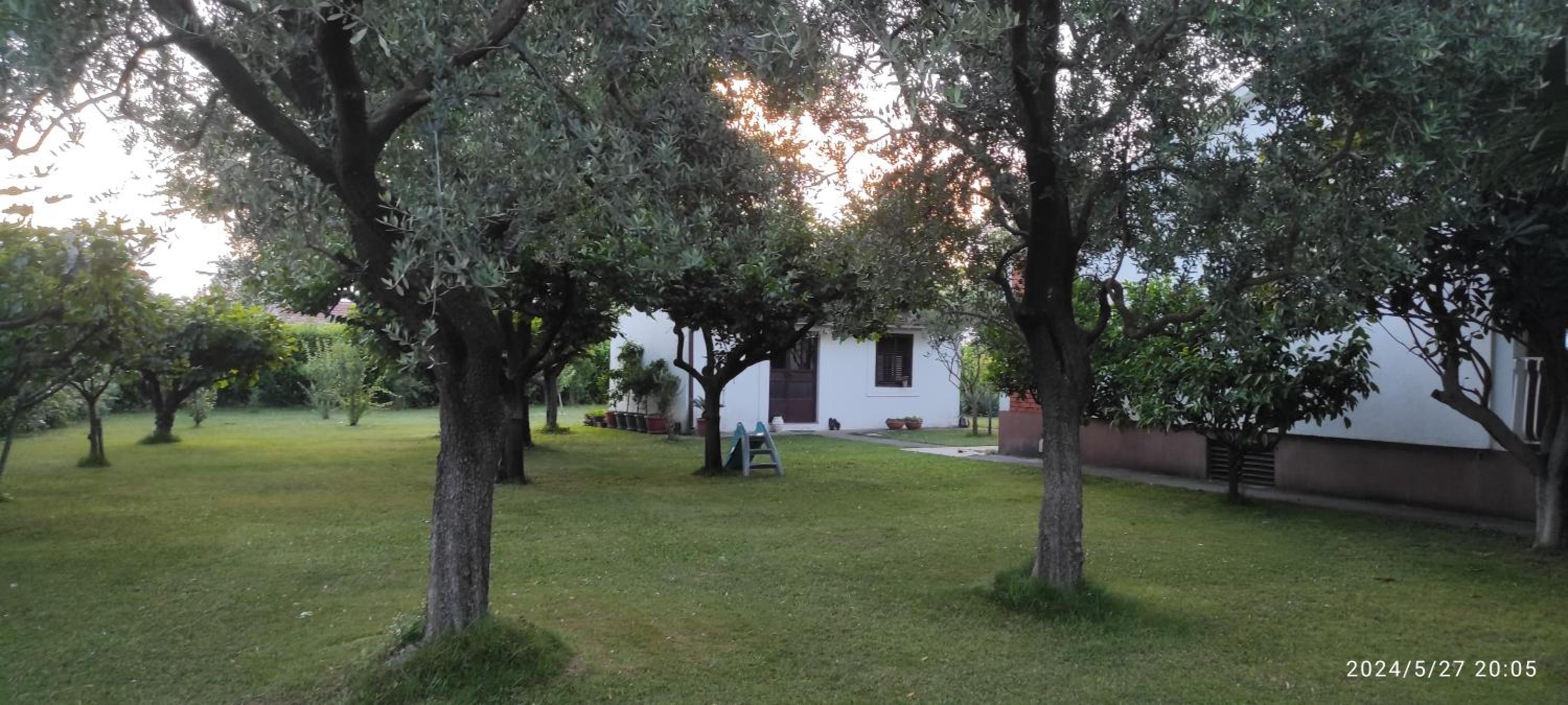 Villa photo 2