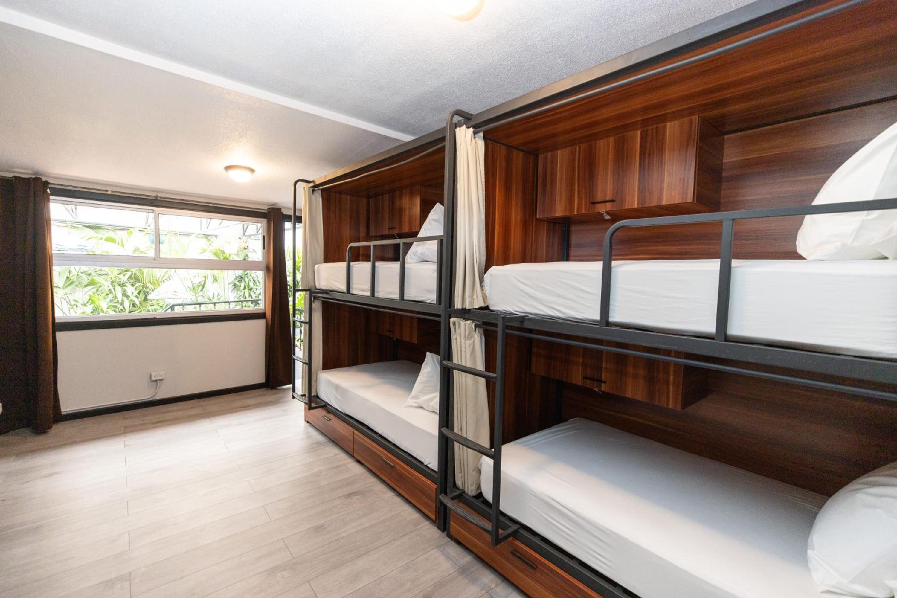 Bed In 6-Bed Female Dormitory Room photo 3