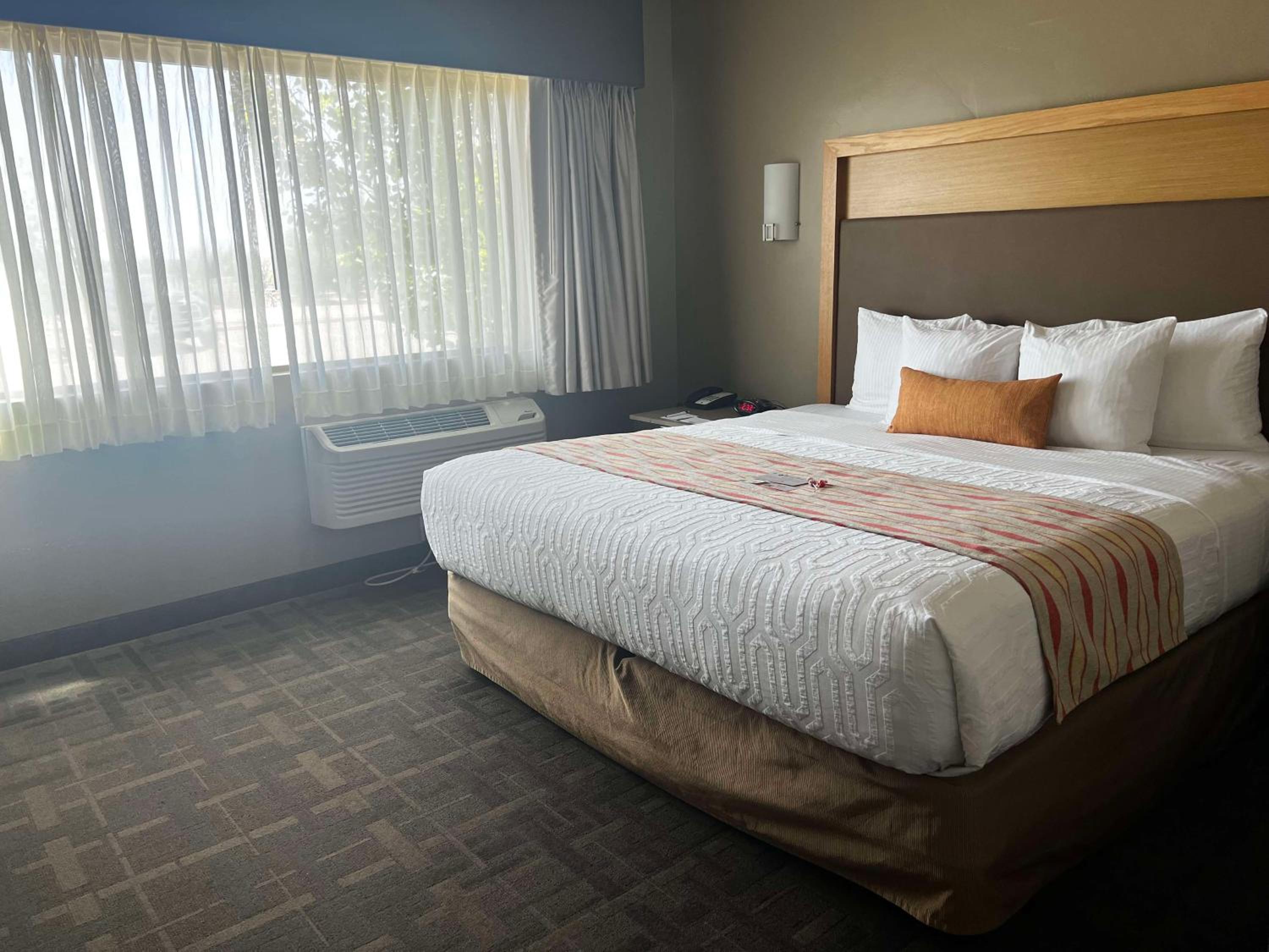 King Room with Roll-in Shower - Disability Access/Non-Smoking