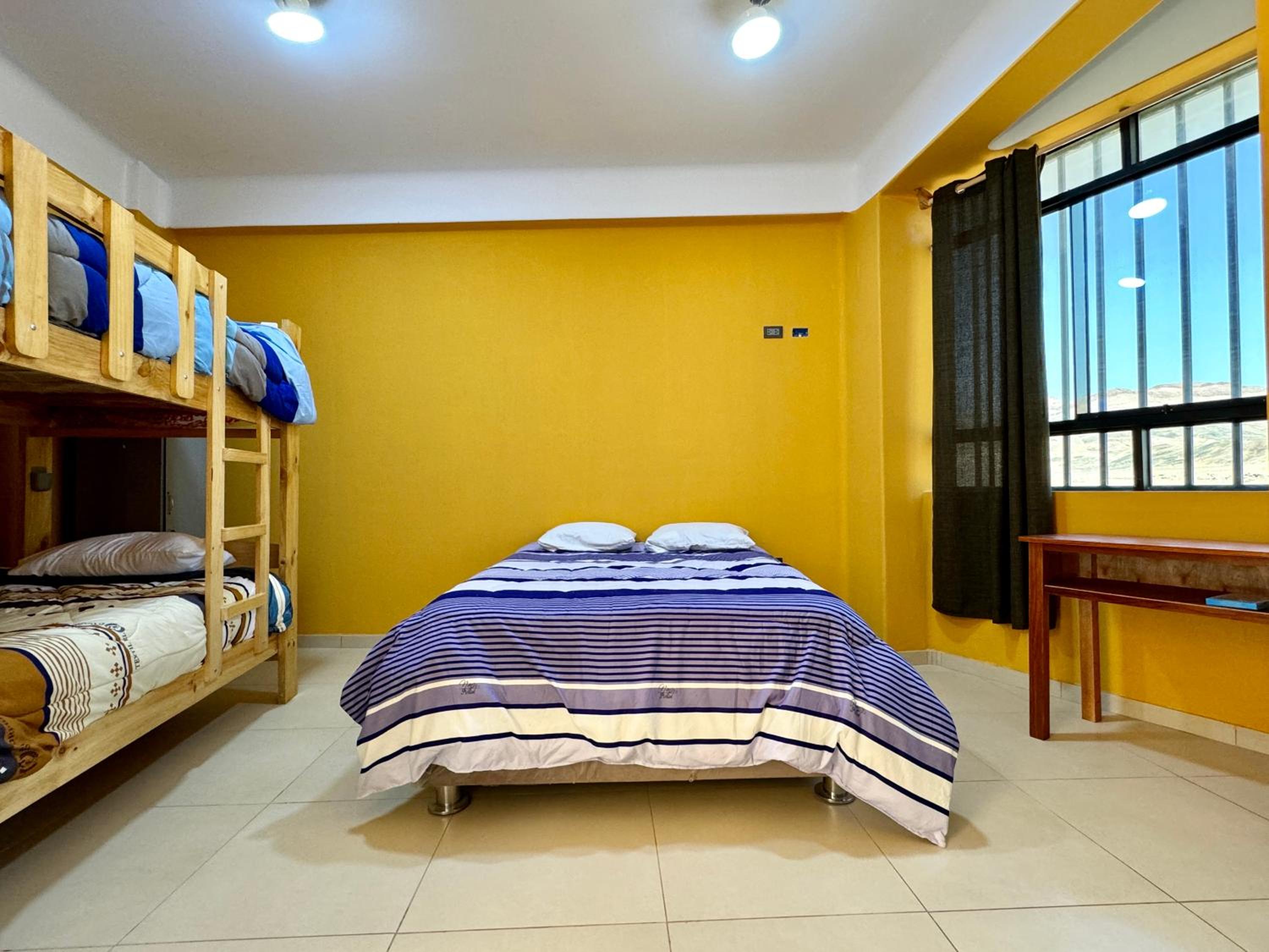Twin Room photo 1