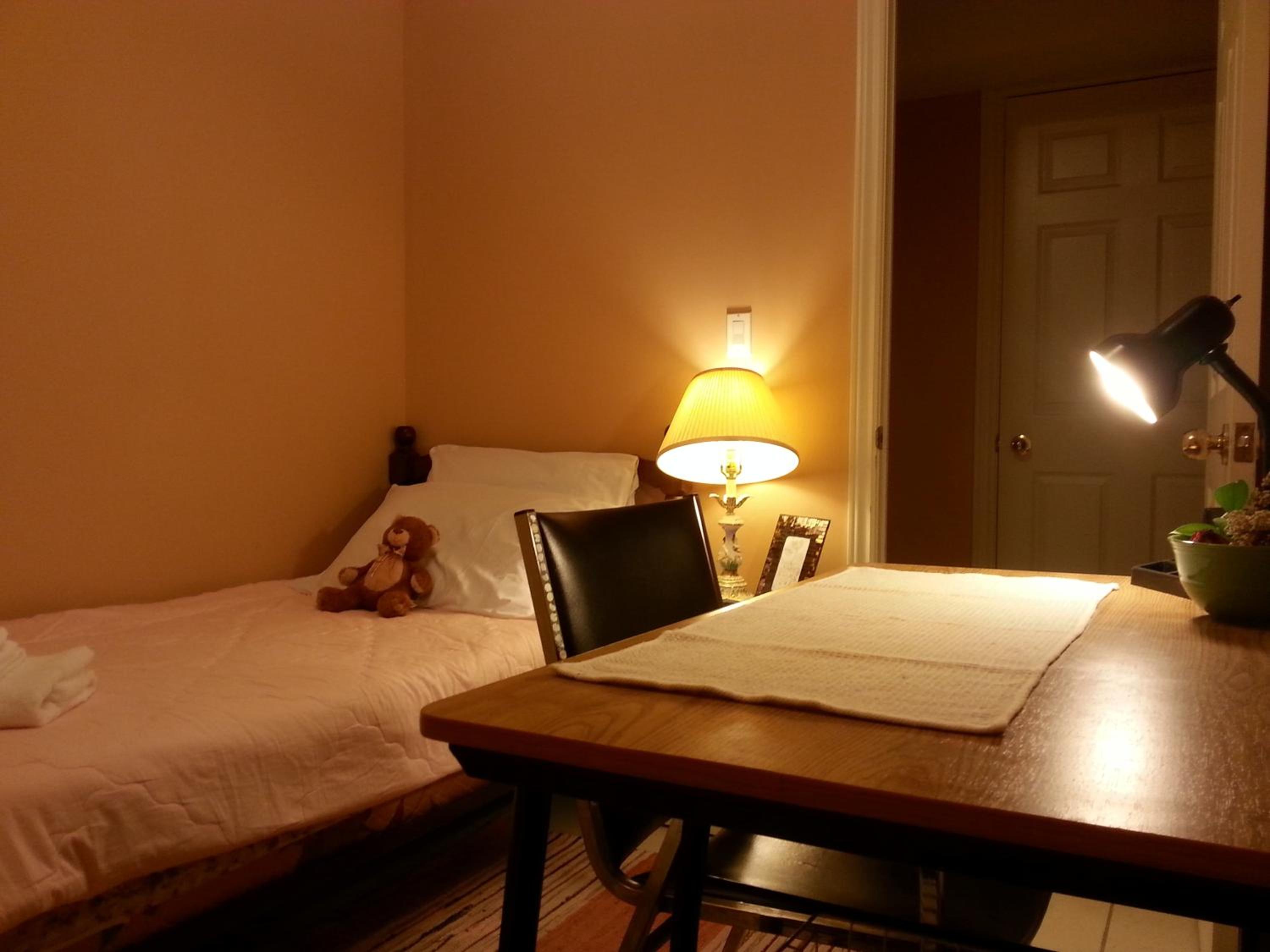 Single Room photo 1