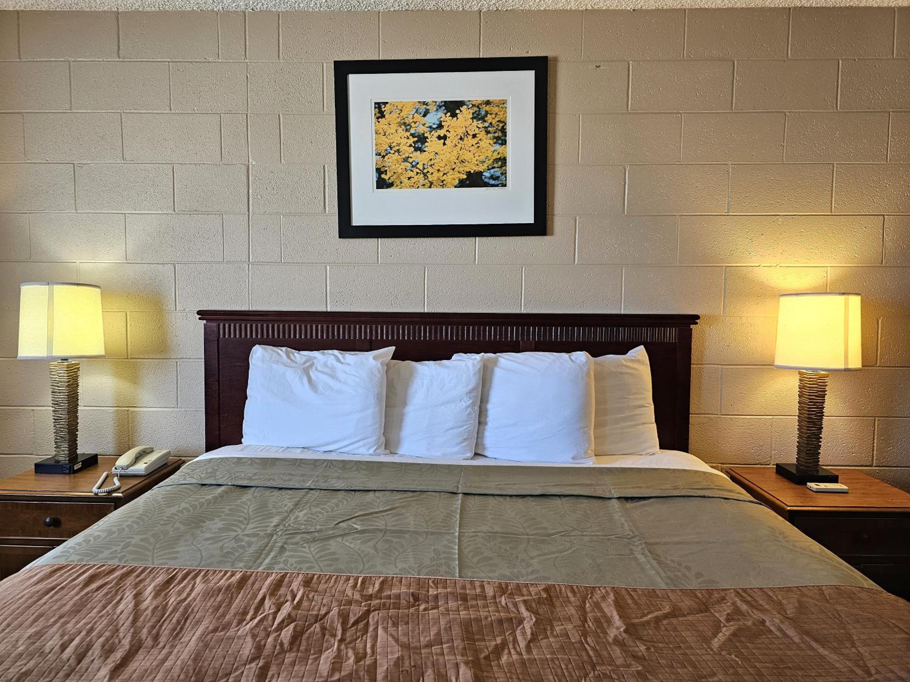 Standard King Room - Photo 10