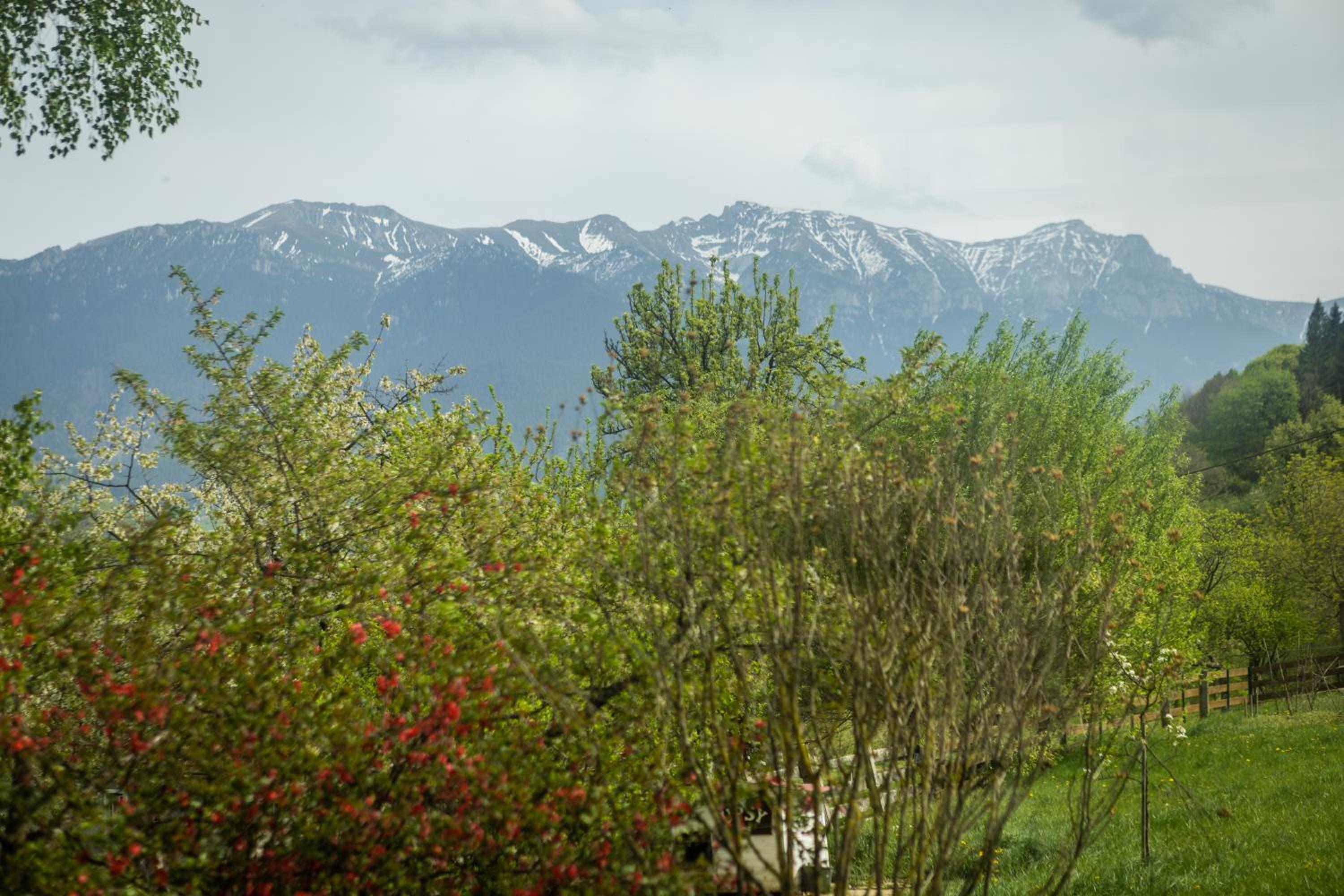 Villa photo 2