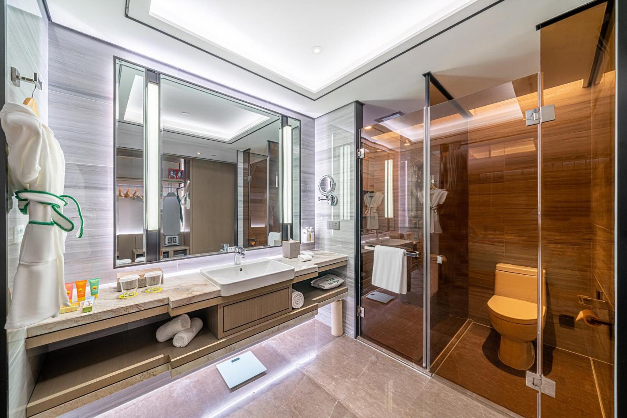 Premium King Room - Photo 5