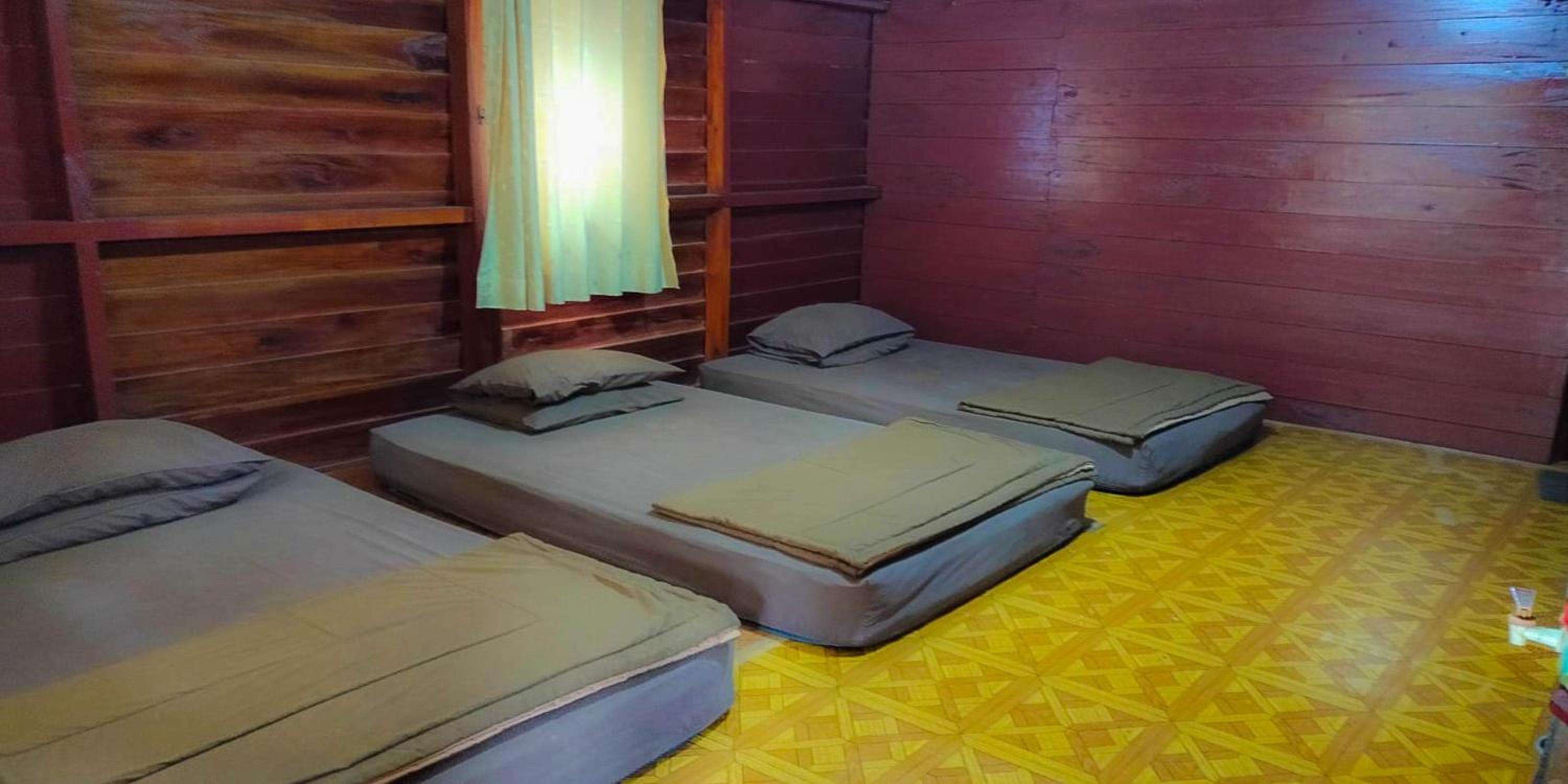 Rimba Single Bed Room - Photo 2