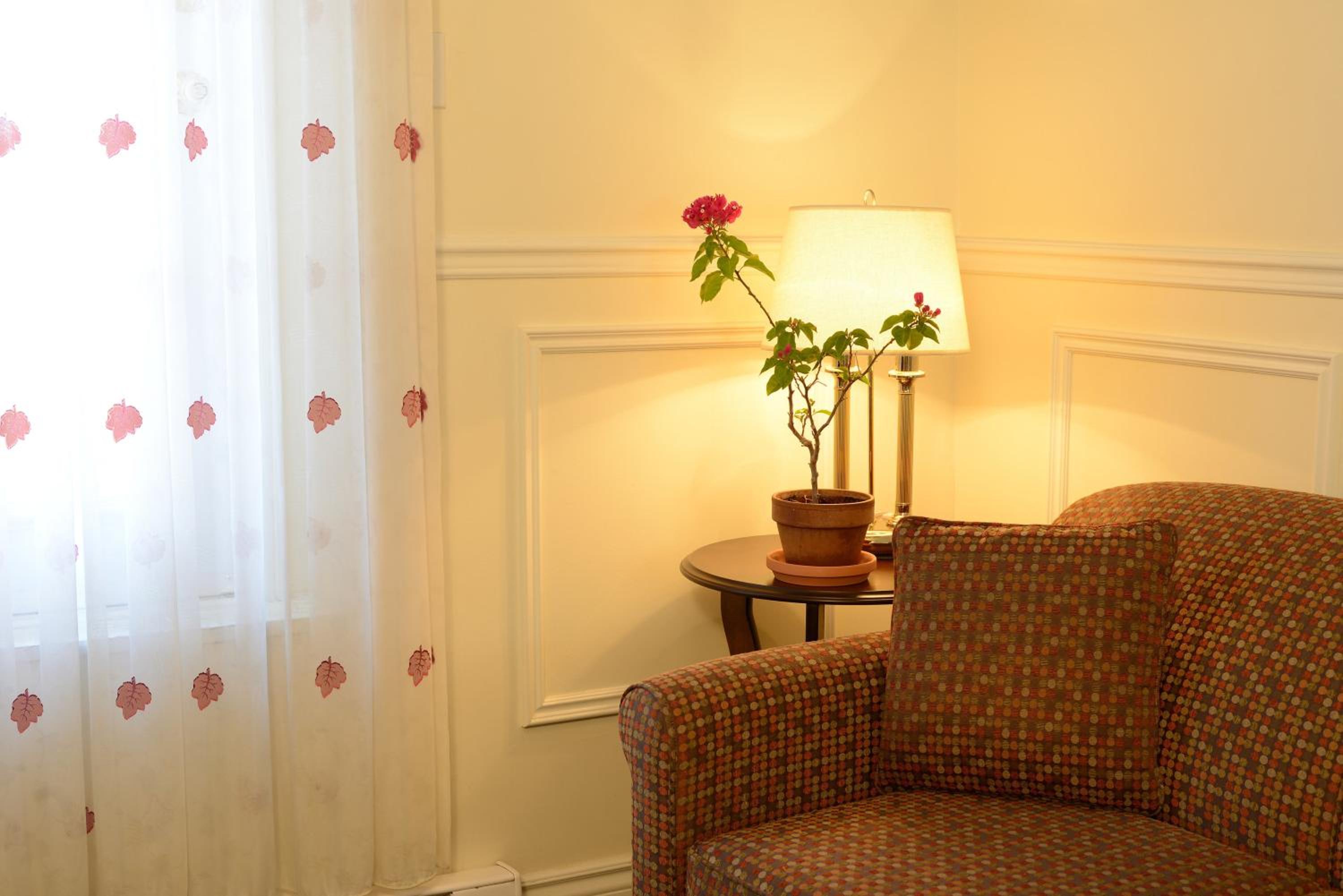 Deluxe King Suite - Photo 6