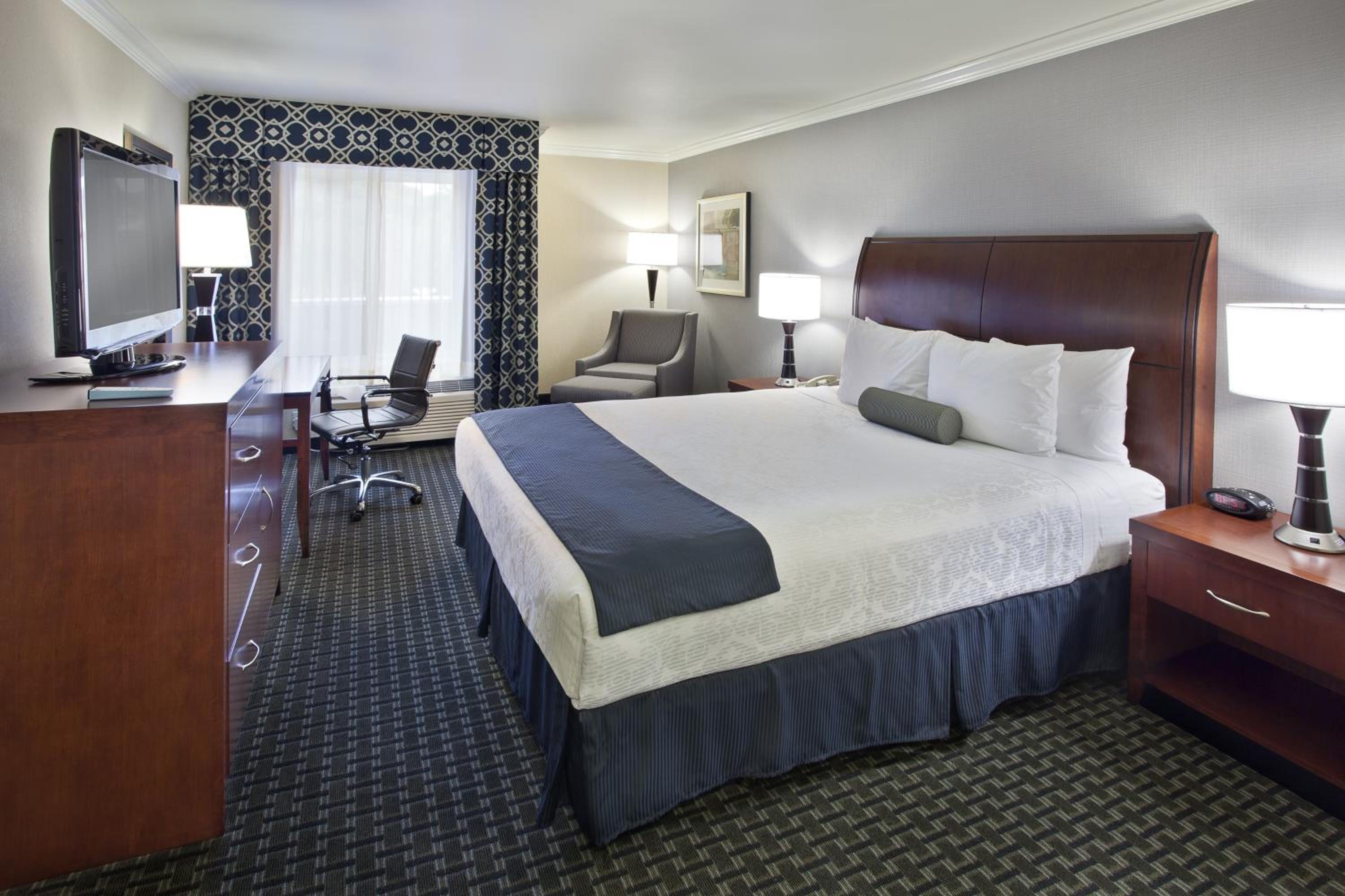 Large King Room - Non-Smoking - Photo 3