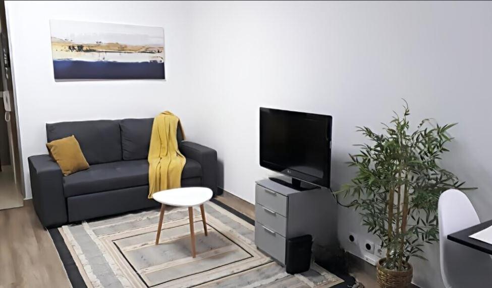 One-Bedroom Apartment photo 3