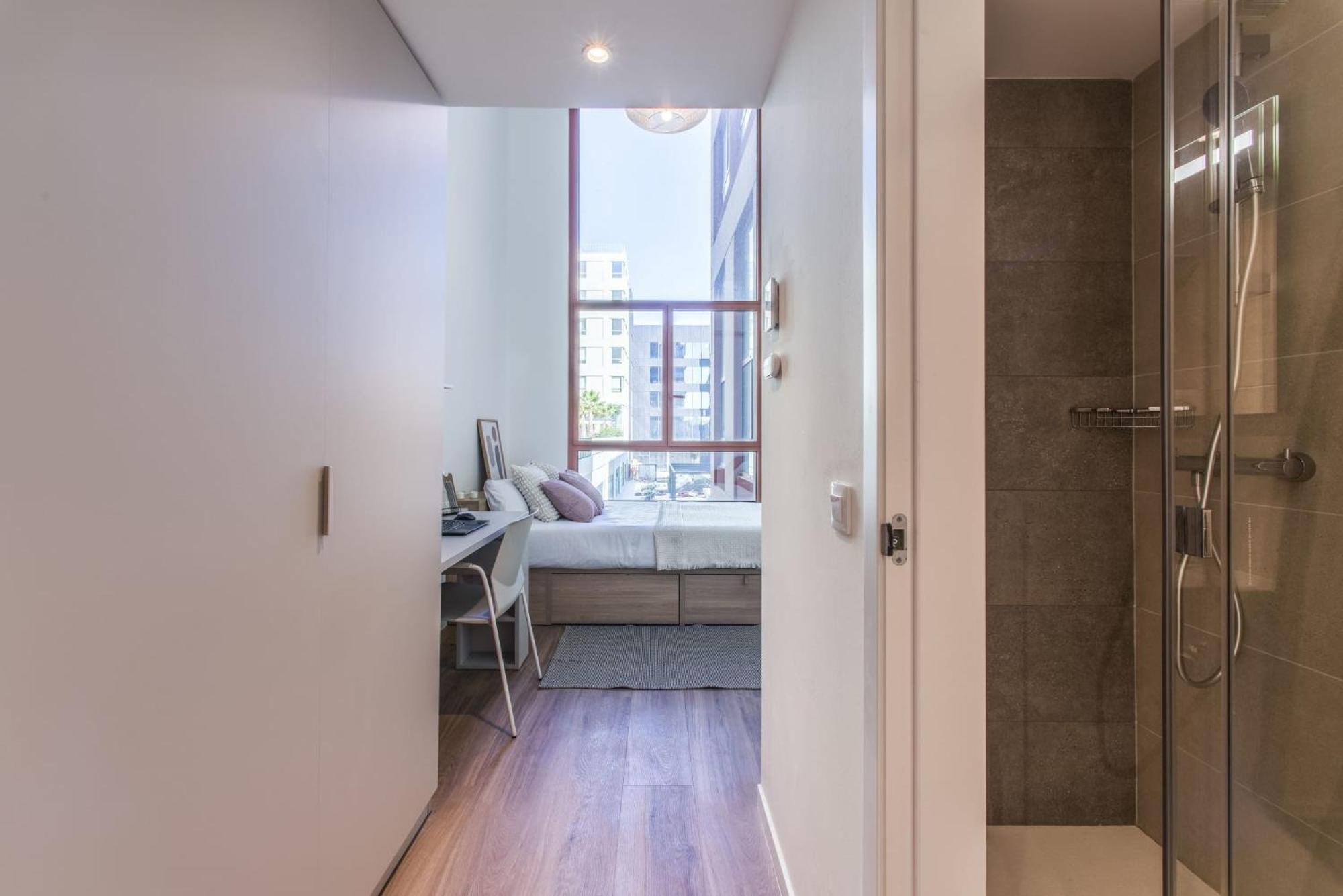 Single Room photo 2