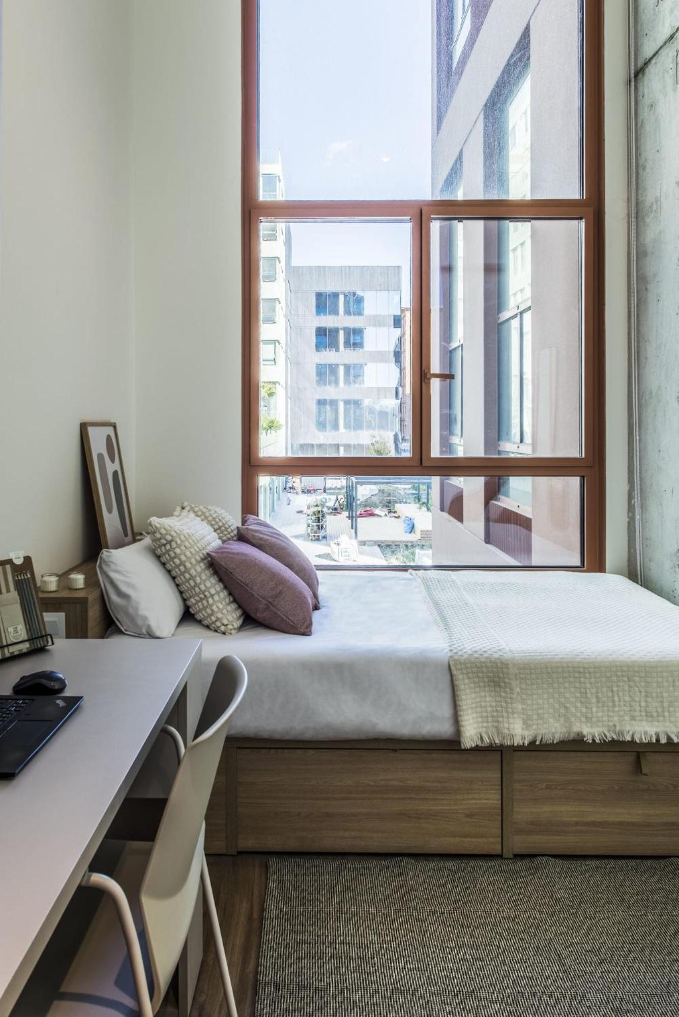 Single Room photo 3