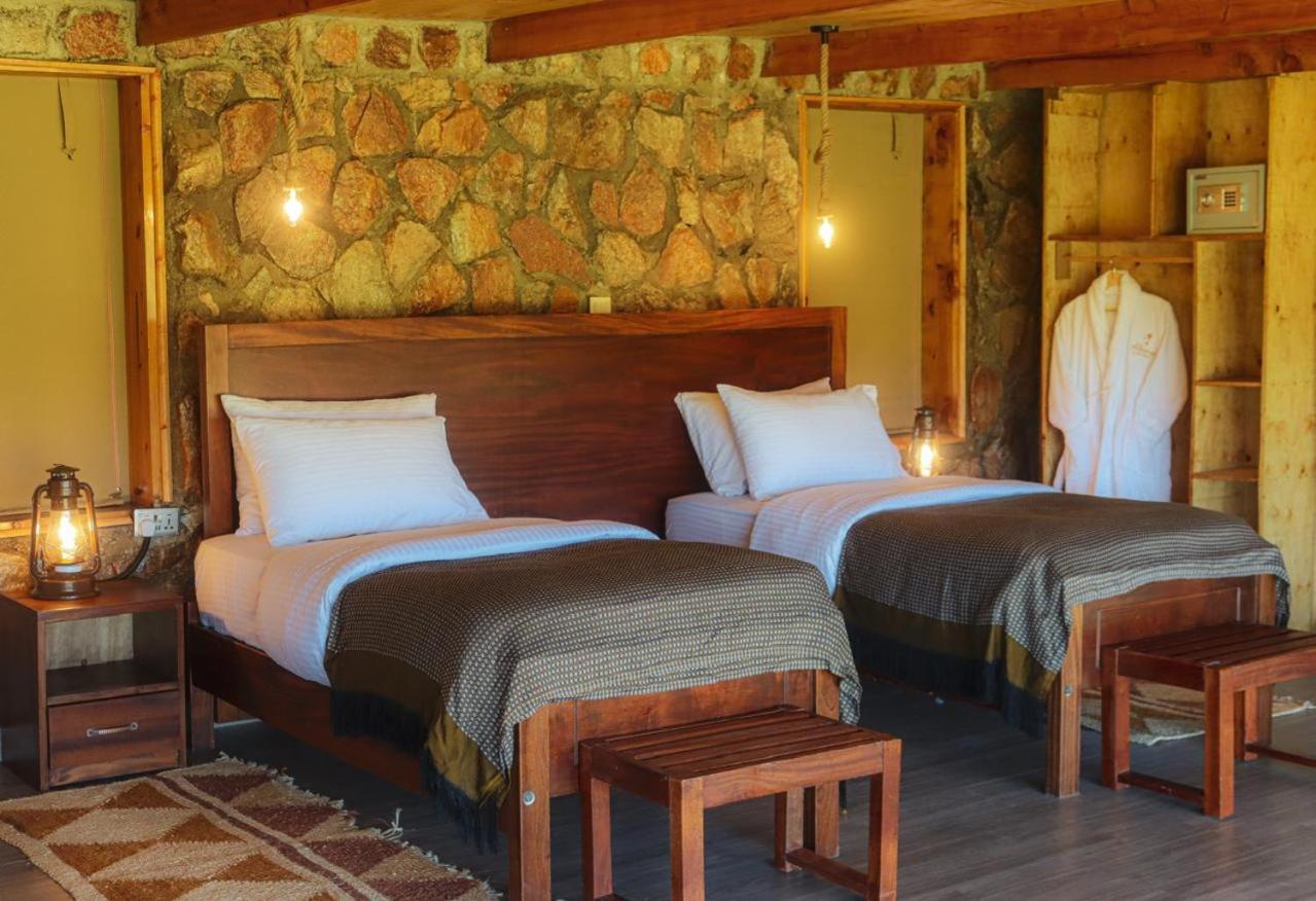 Twin Room photo 1