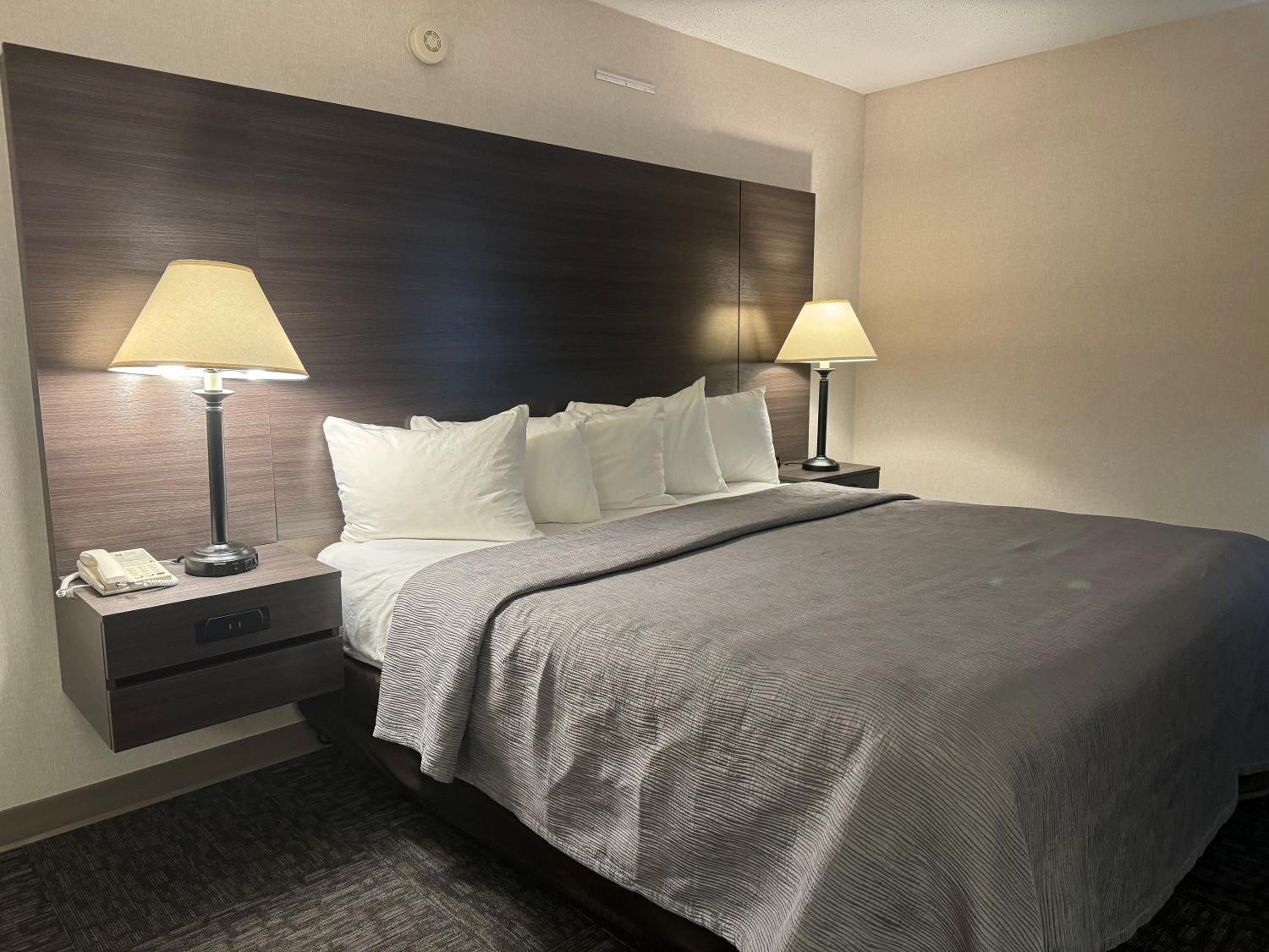 King Room - Non-Smoking - Photo 10
