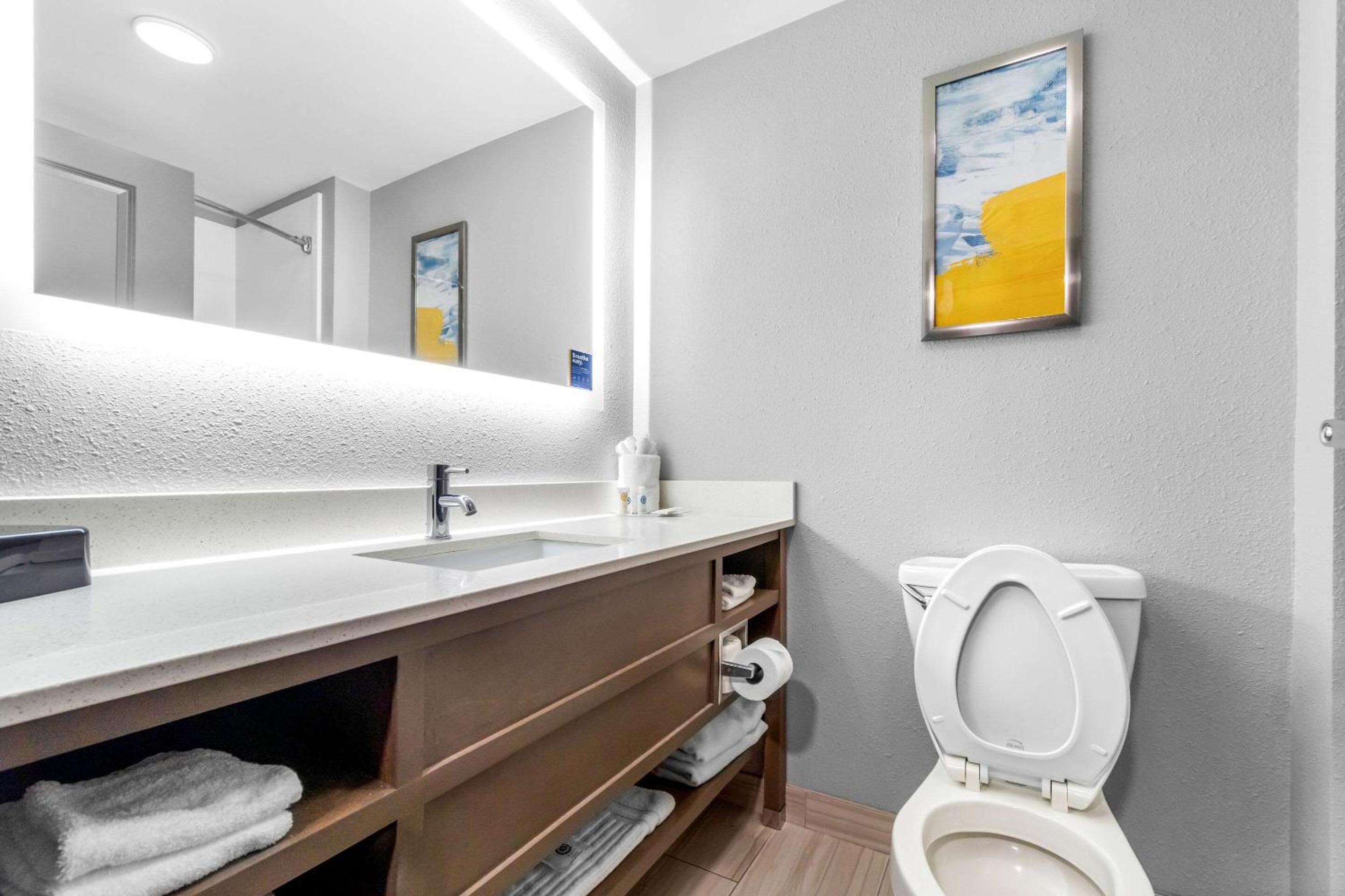 King Suite - Non-Smoking - Photo 4