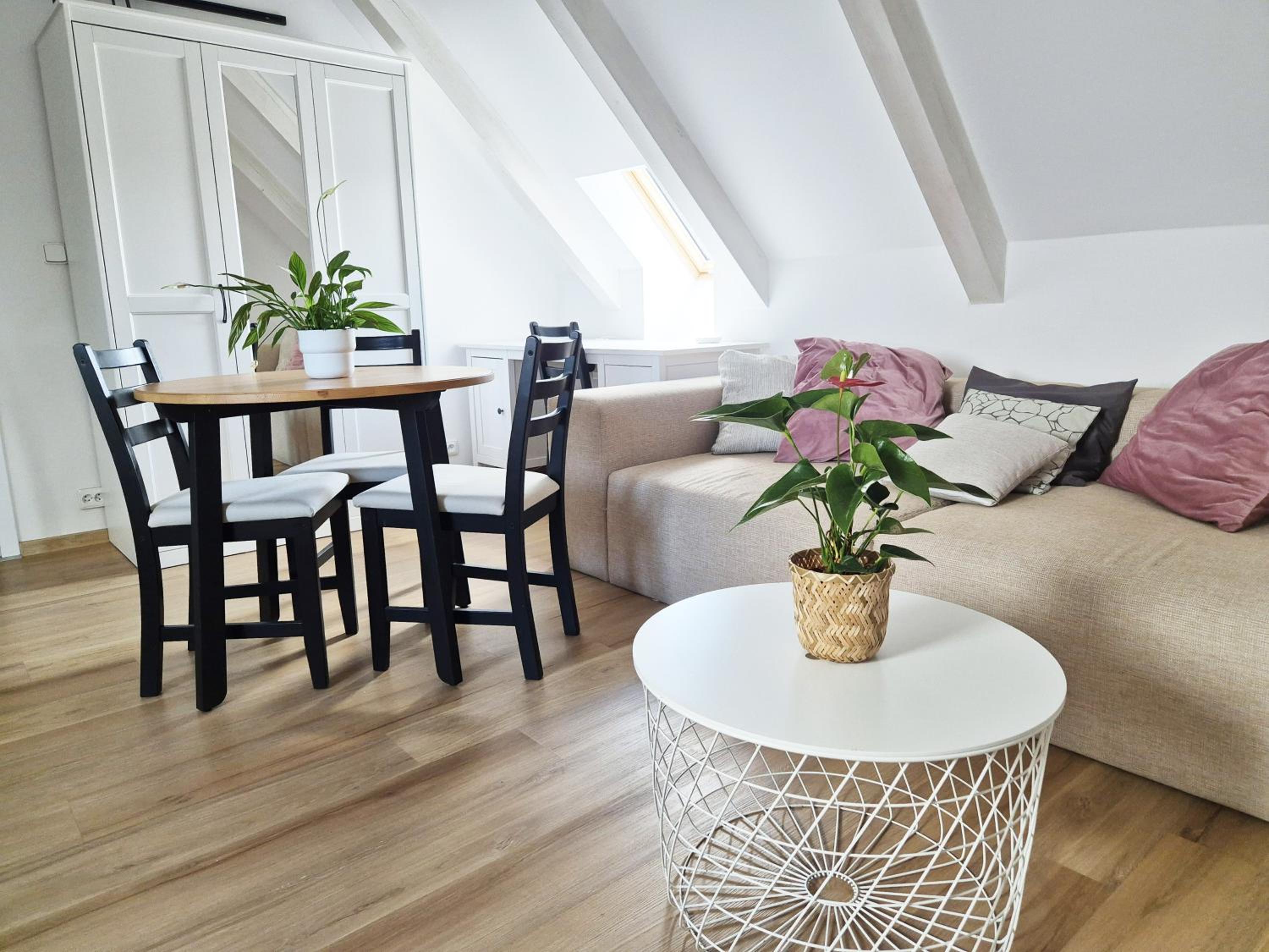 Suite - Photo 4
