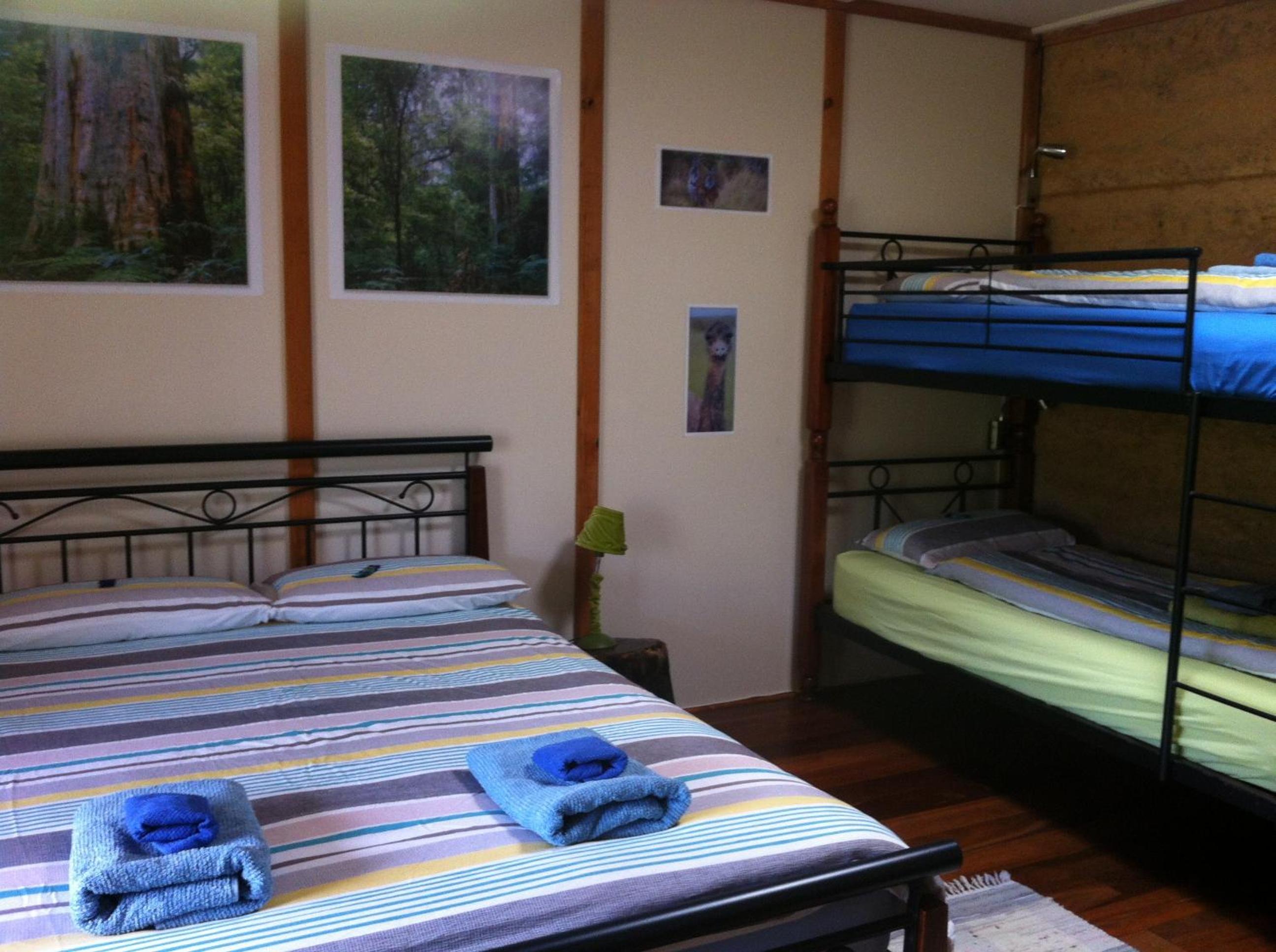 Forest Family Room - Photo 3