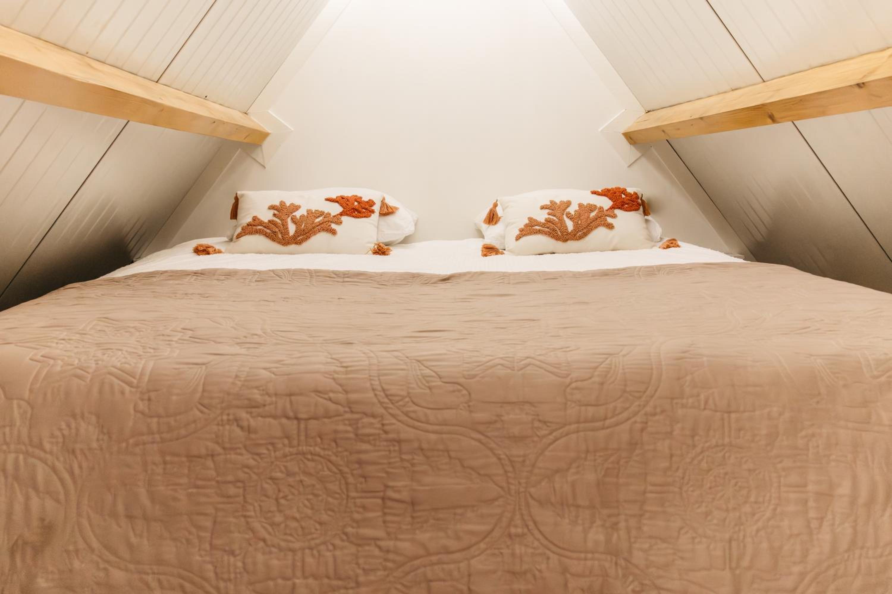 King Room photo 1