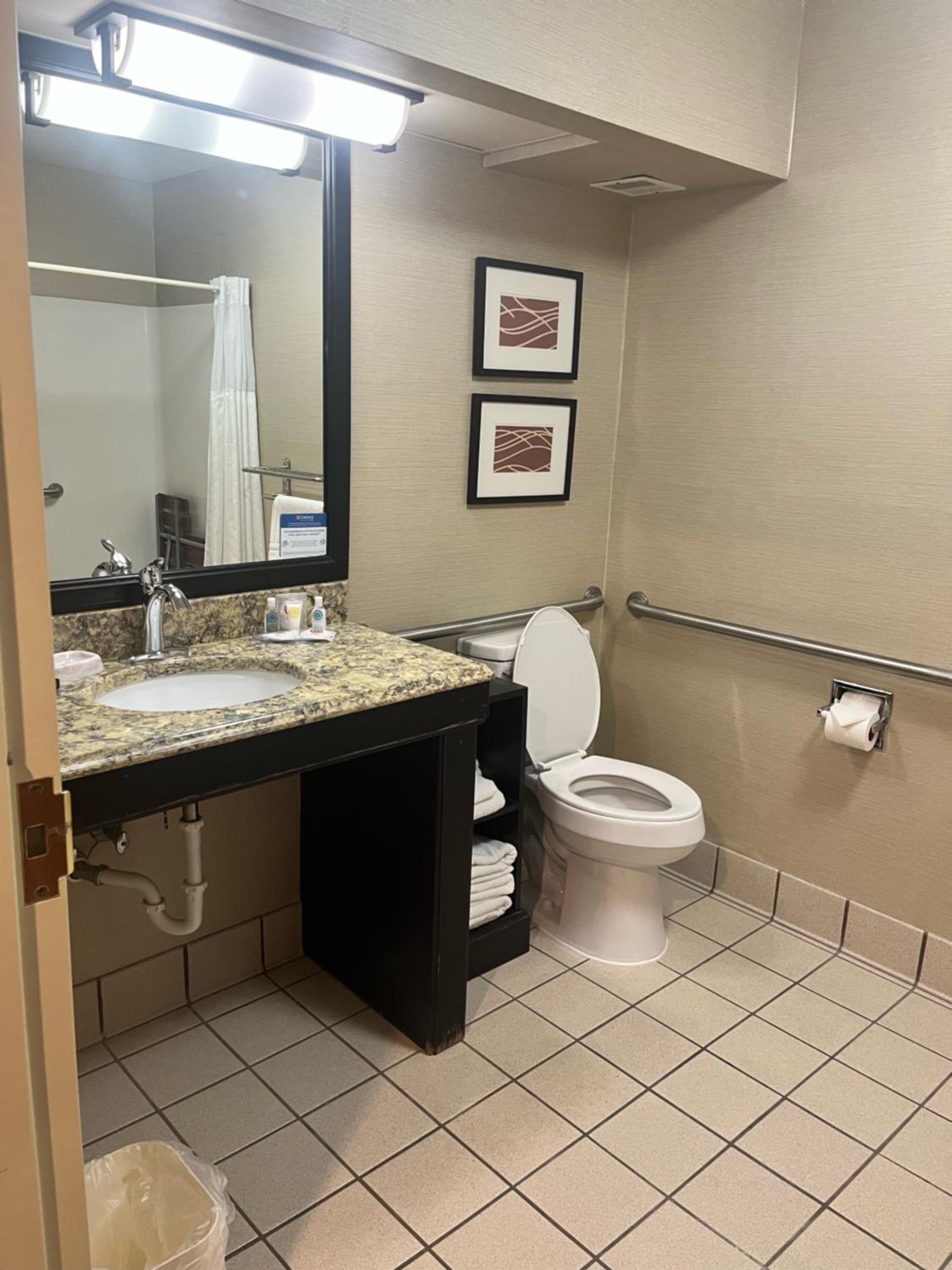 King Room - Accessible/Non-Smoking - Photo 4