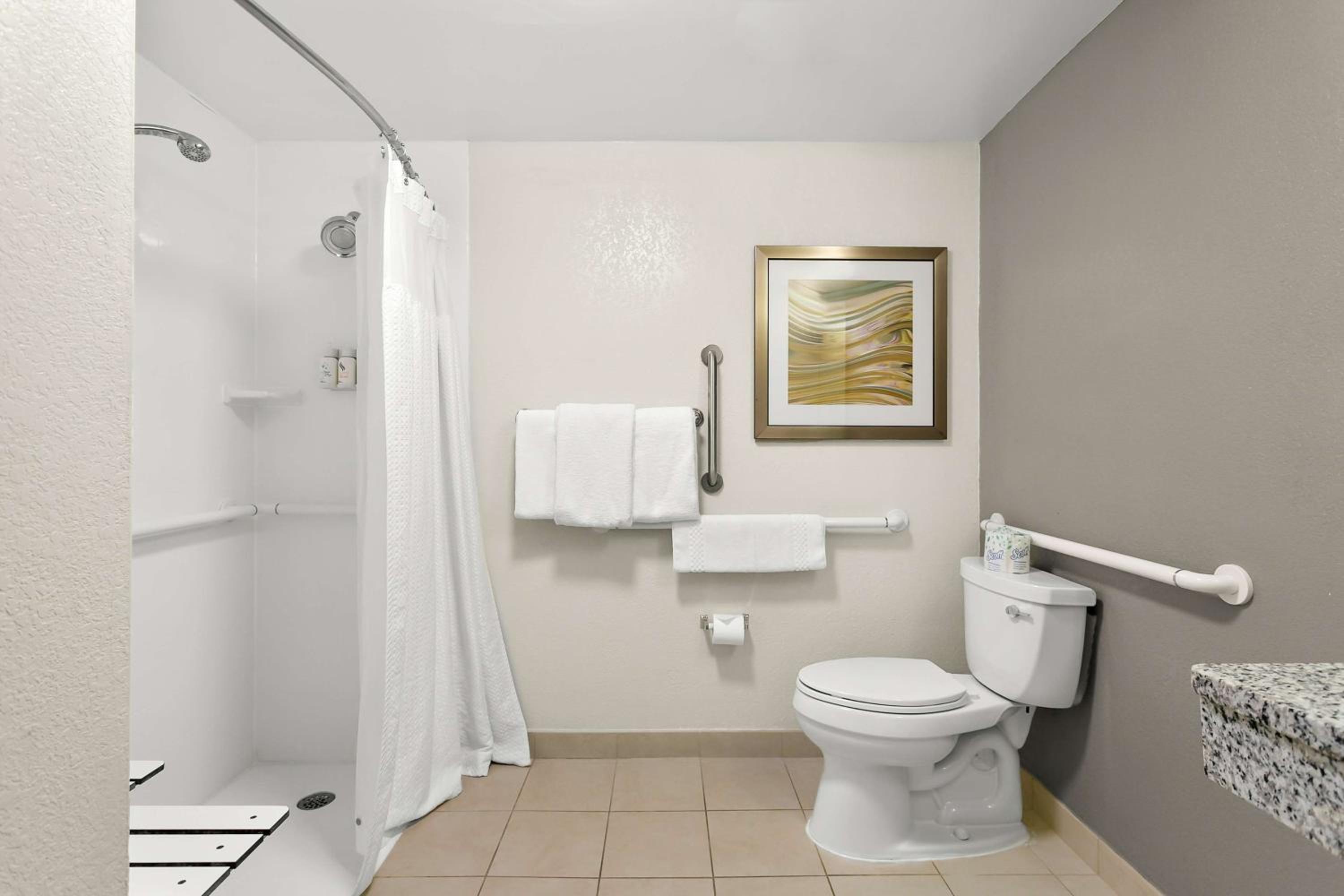 King Room with Roll-In Shower - Mobility/Hearing Accessible - Photo 2
