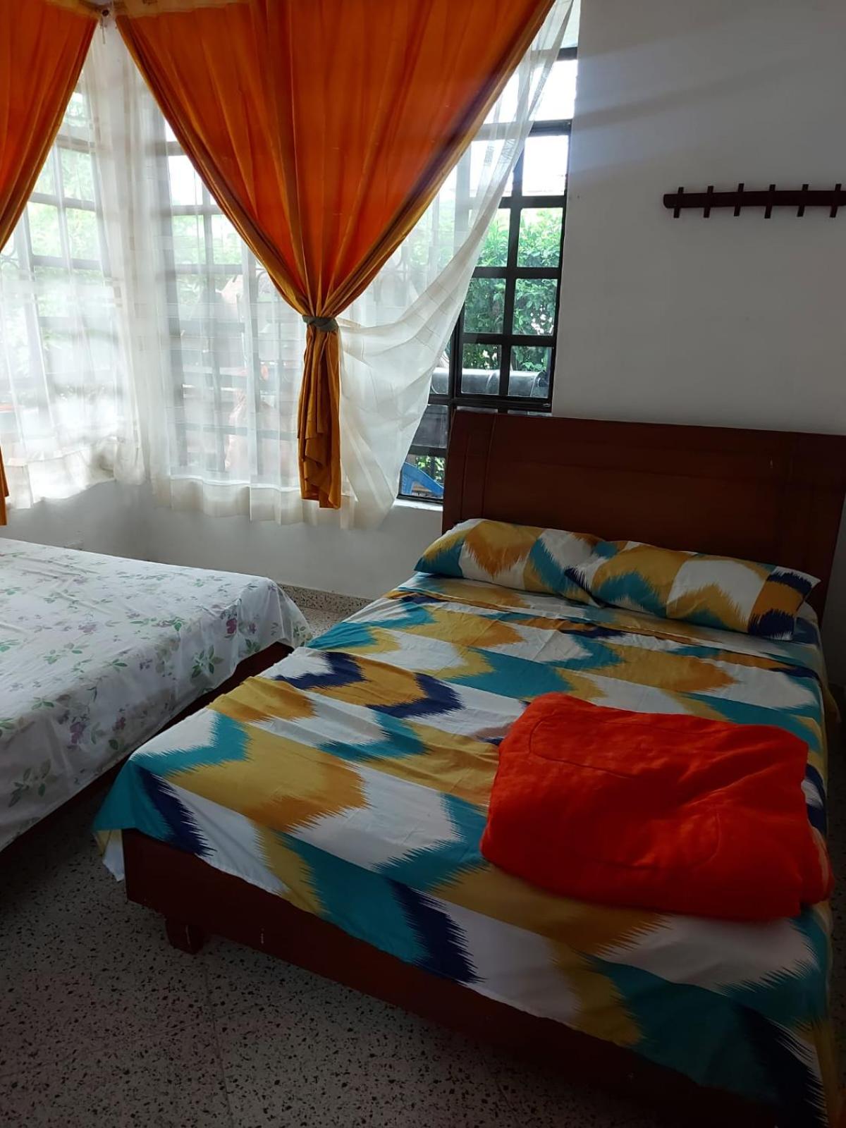 Twin Room photo 3