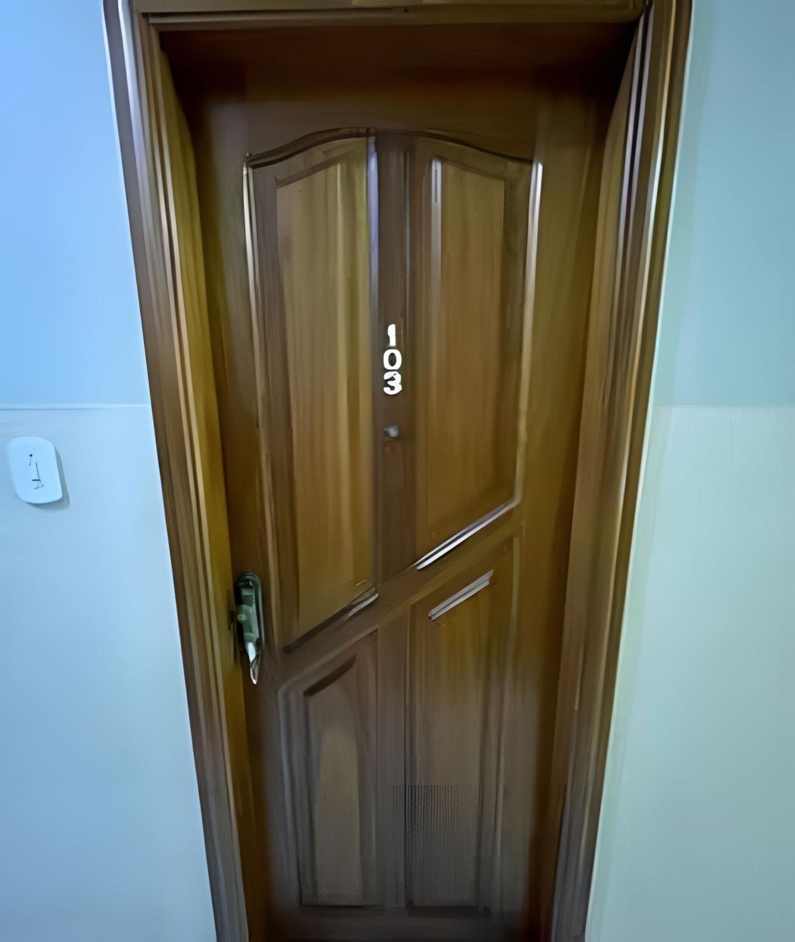 One-Bedroom Apartment photo 2