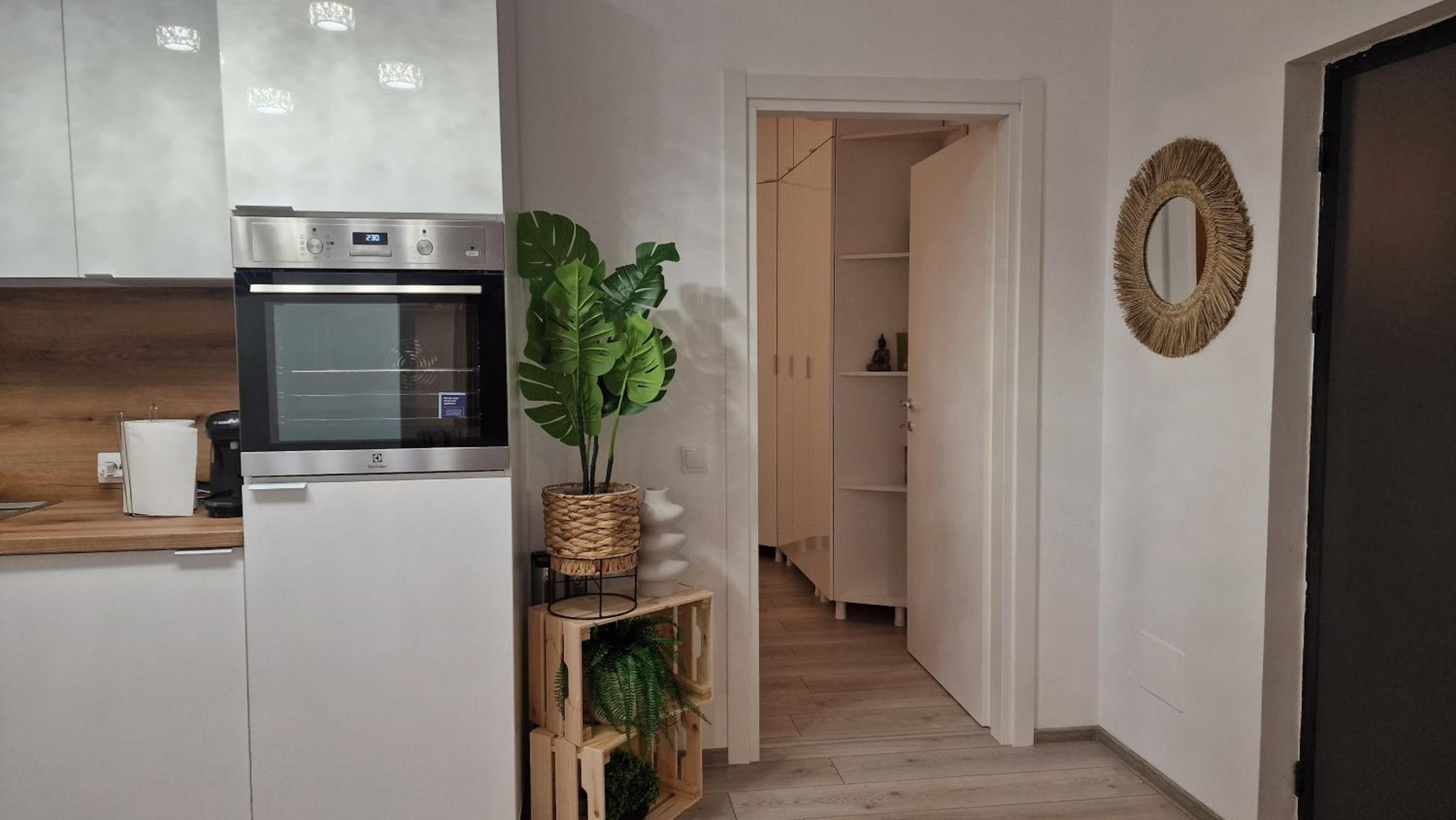 One-Bedroom Apartment photo 2