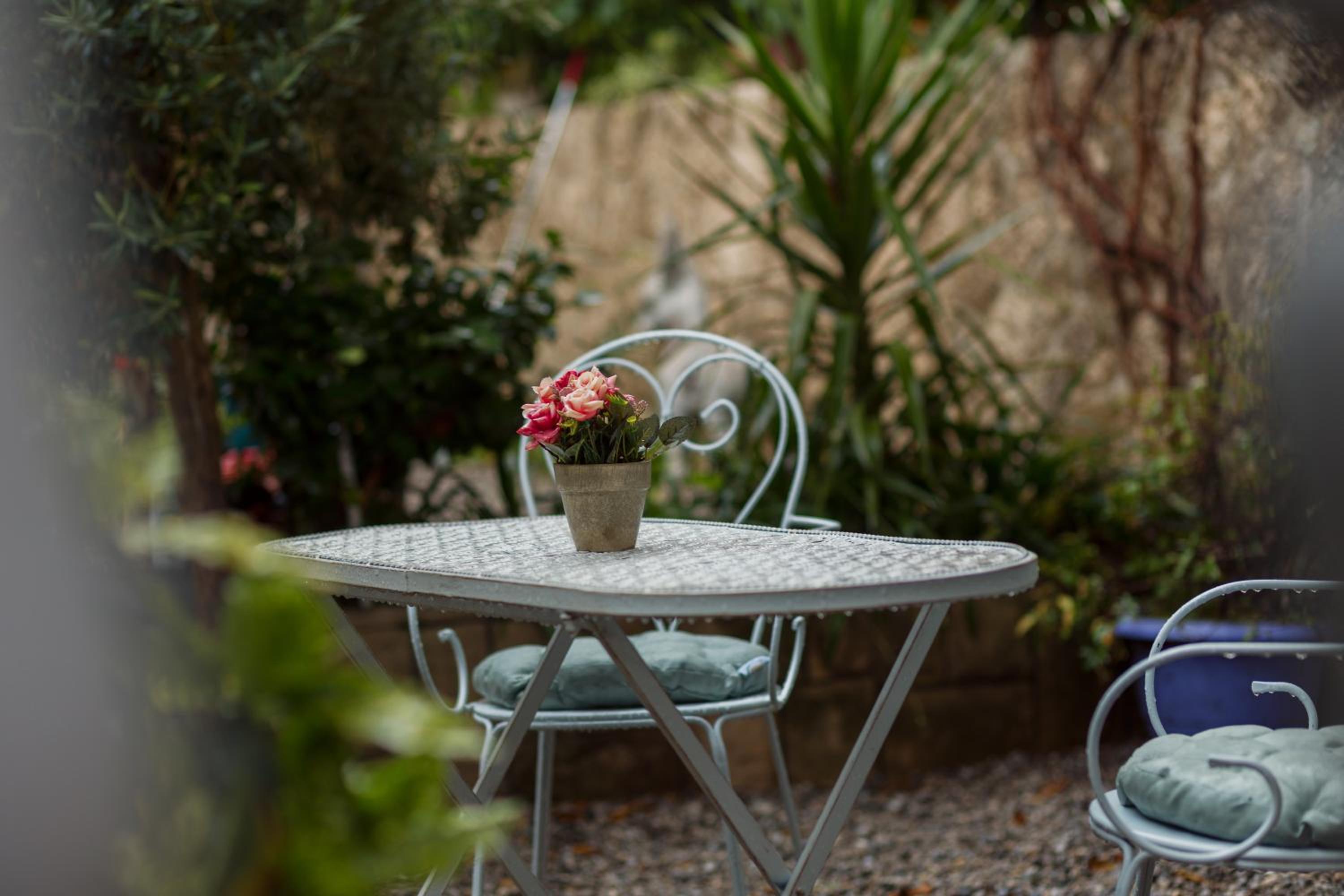 Studio with Garden View