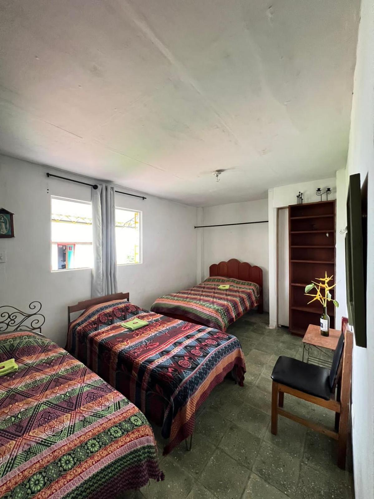 Triple Room with Garden View photo 1