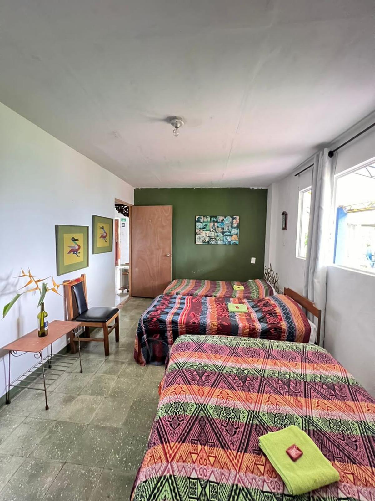 Triple Room with Garden View photo 3
