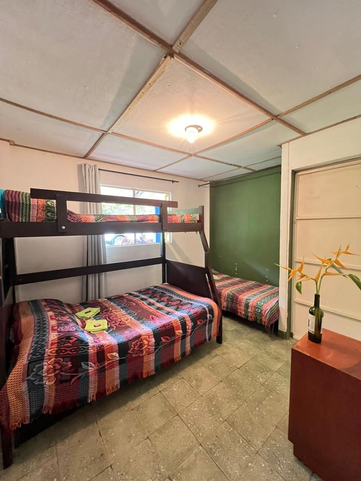 Double Room with Garden View photo 1