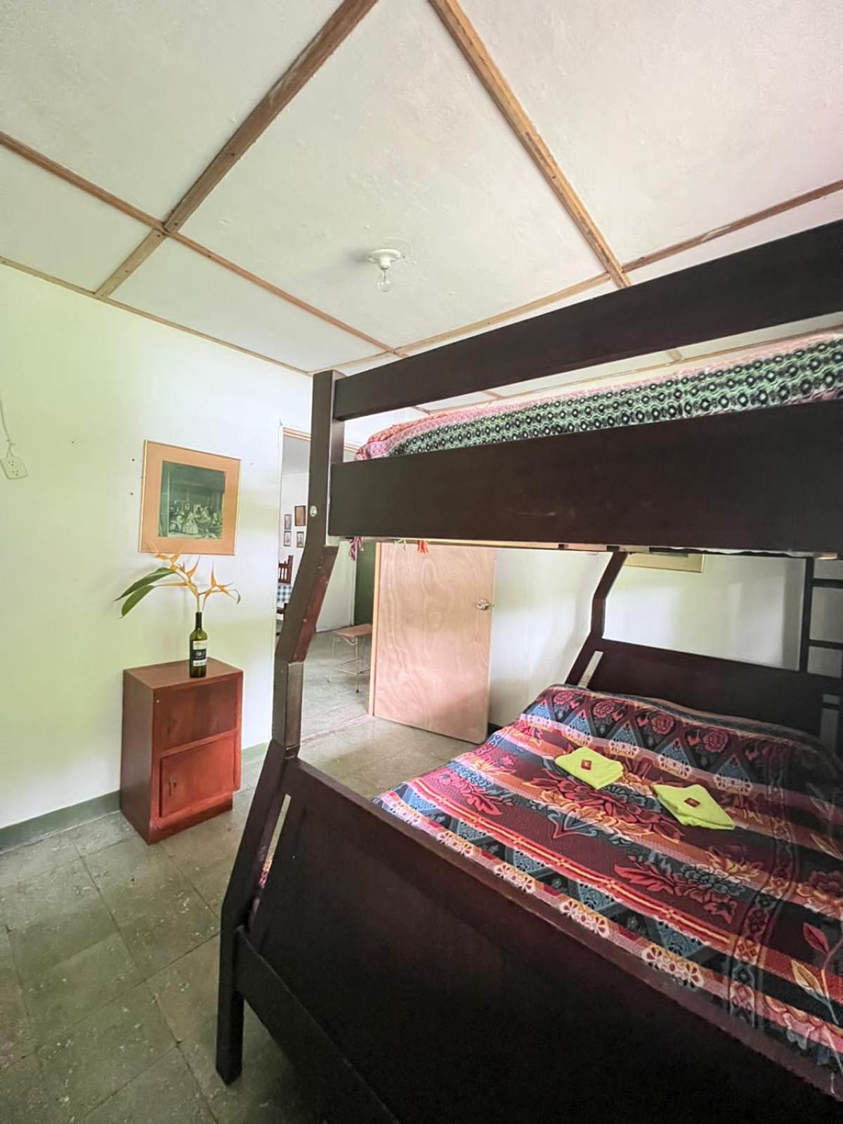 Double Room with Garden View photo 3