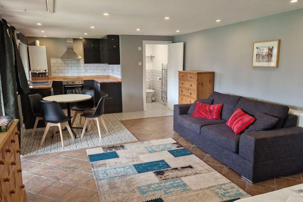 Studio Apartment with King Bed photo 1