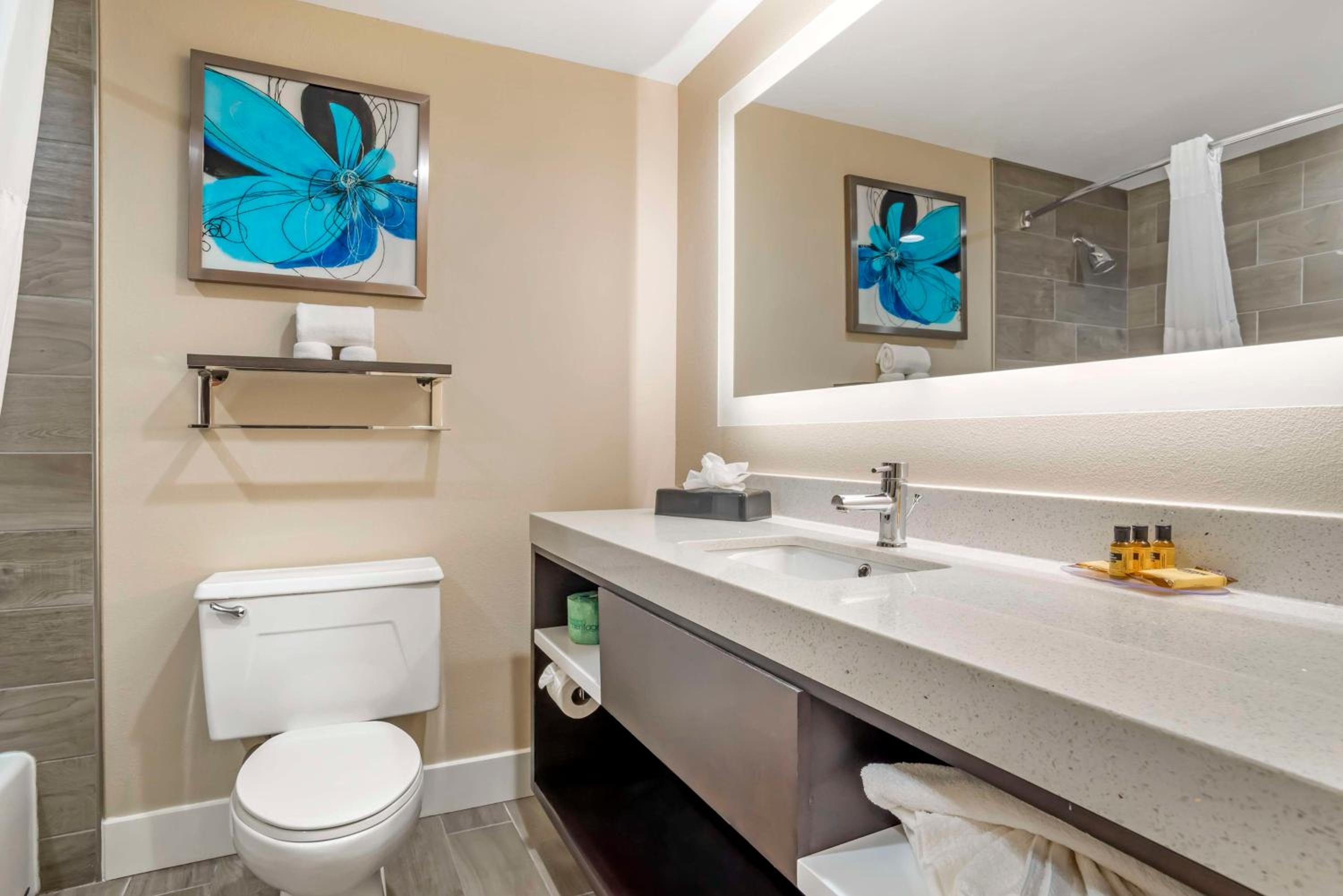 King Suite with Sofa Bed - Photo 3