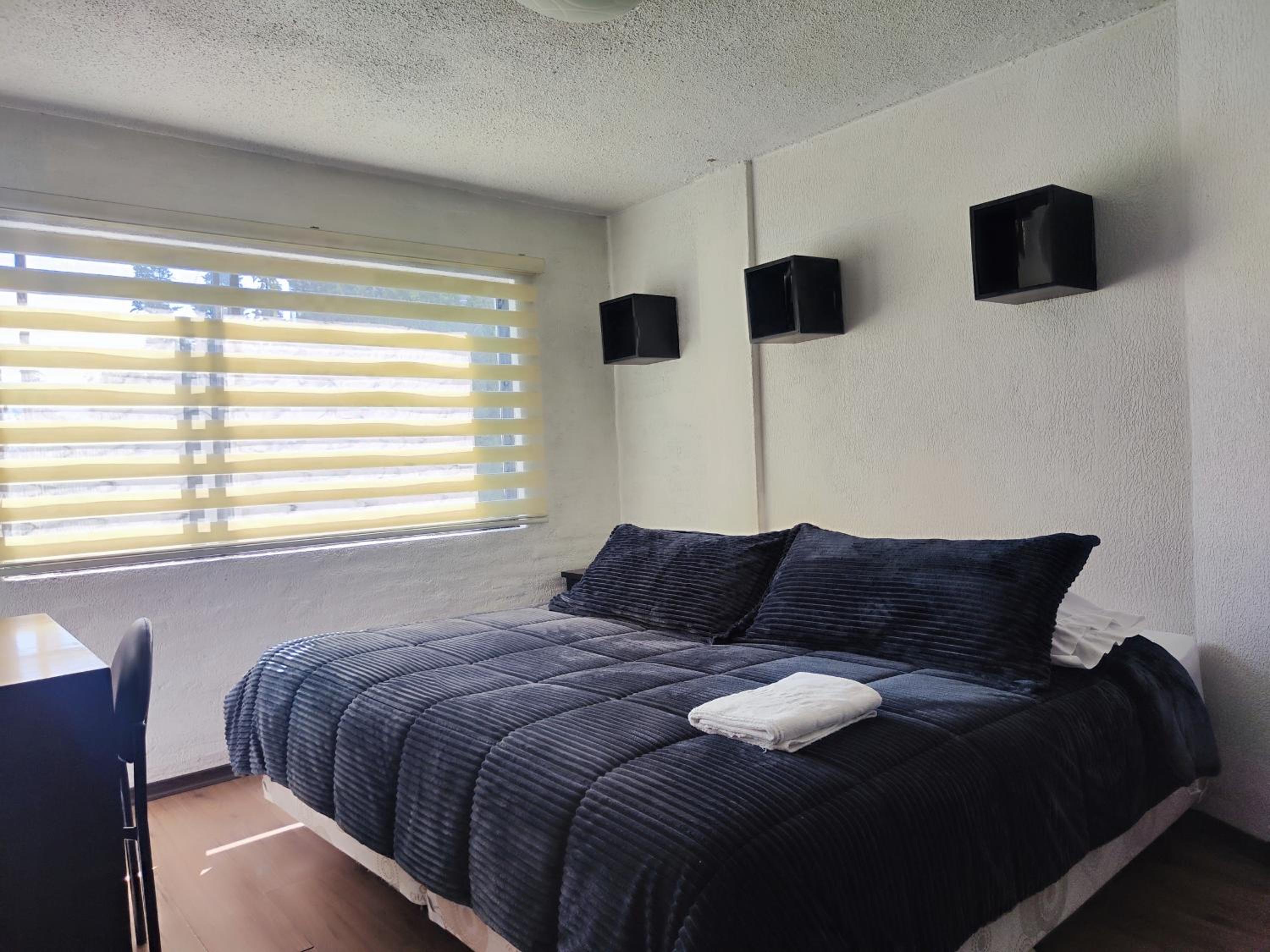 Single Room photo 1