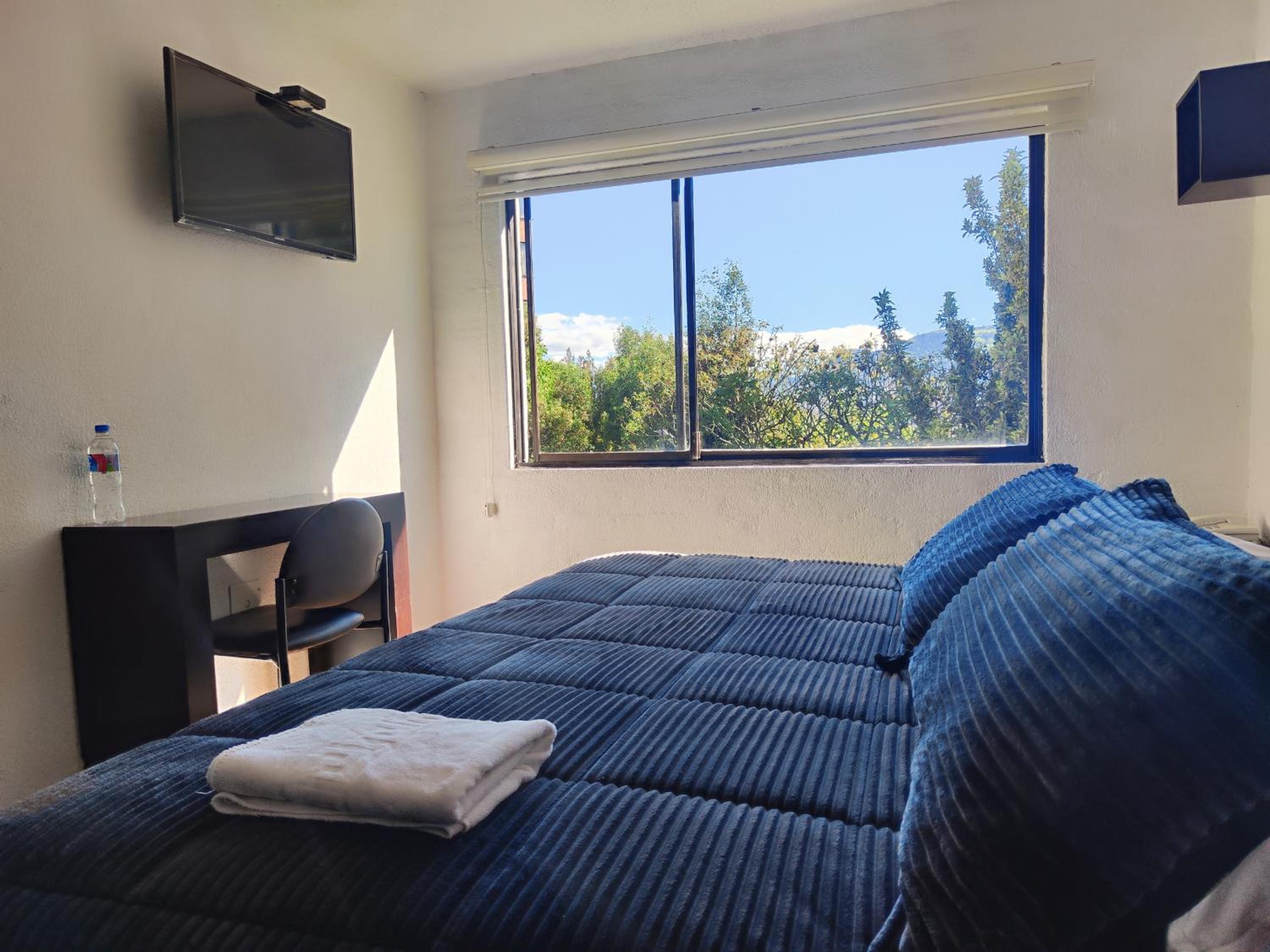 Single Room photo 2