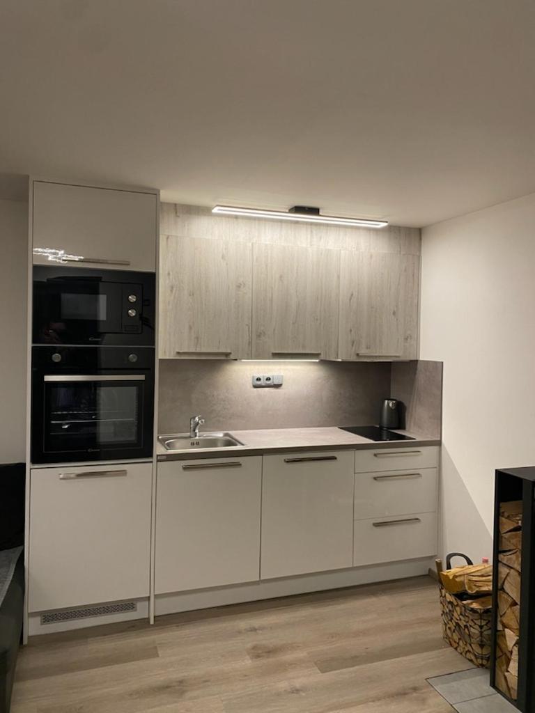 One-Bedroom Apartment photo 2