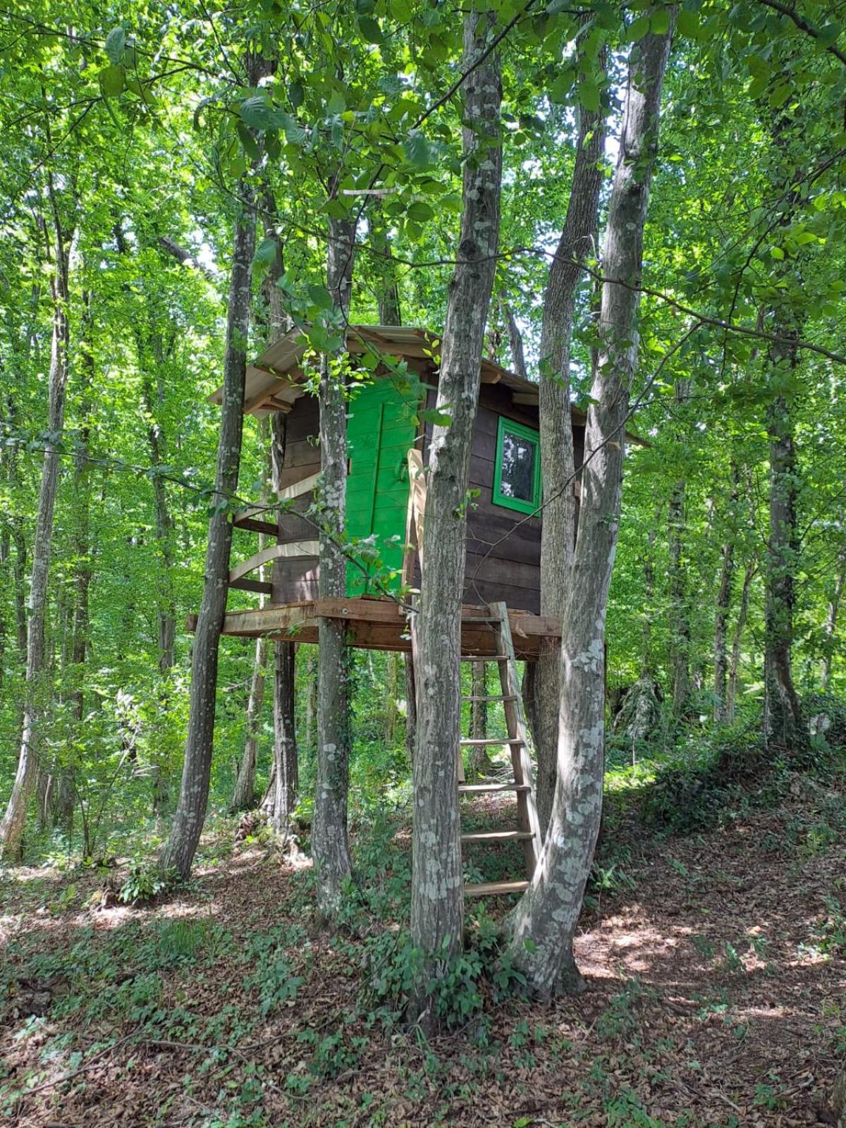 Two-Bedroom Chalet photo 3